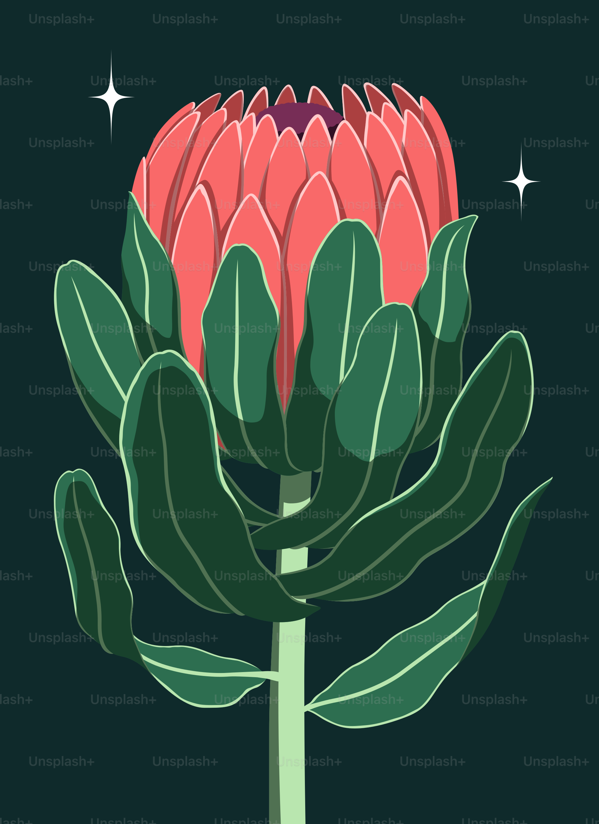 a pink flower with green leaves on a black background
