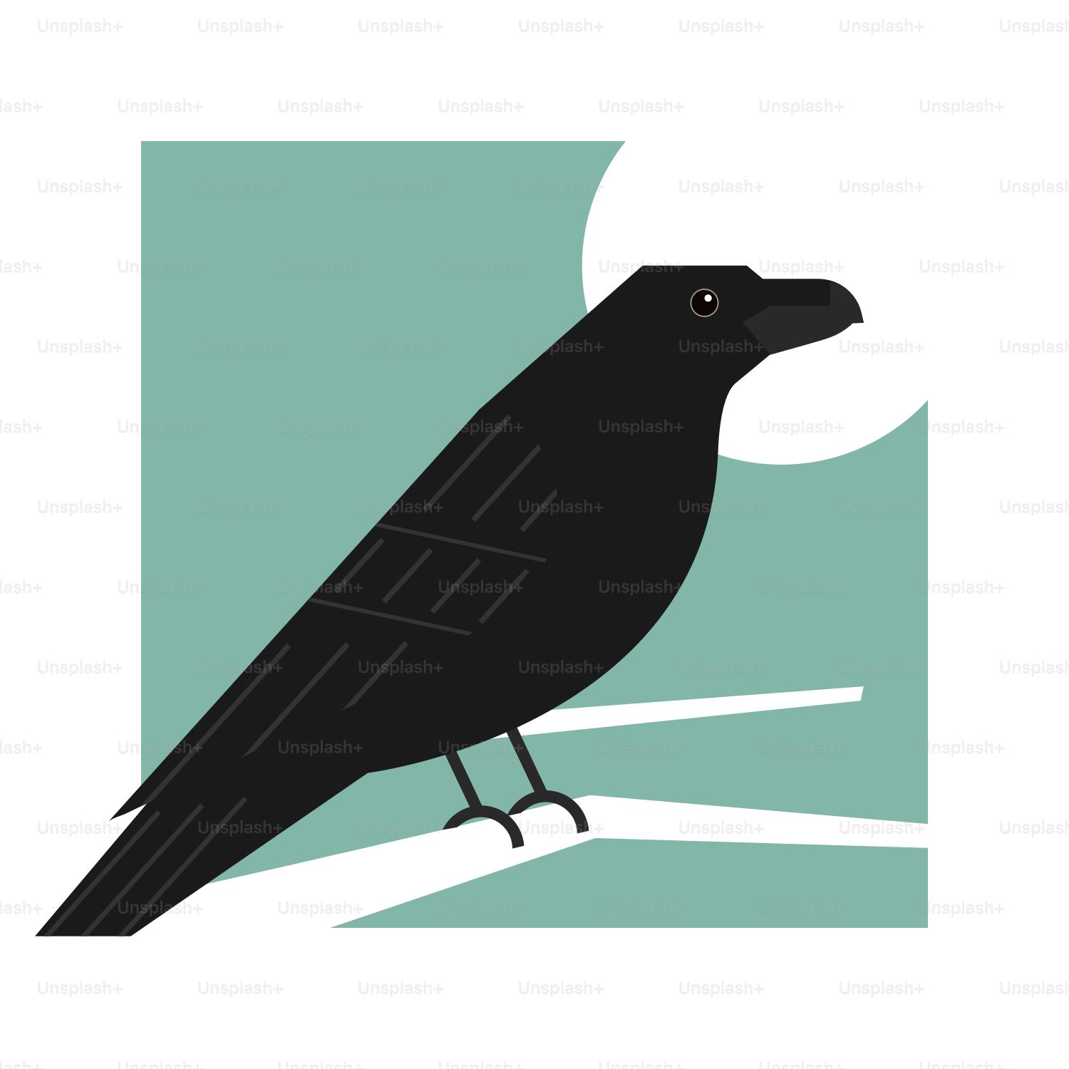 a black bird sitting on top of a tree branch