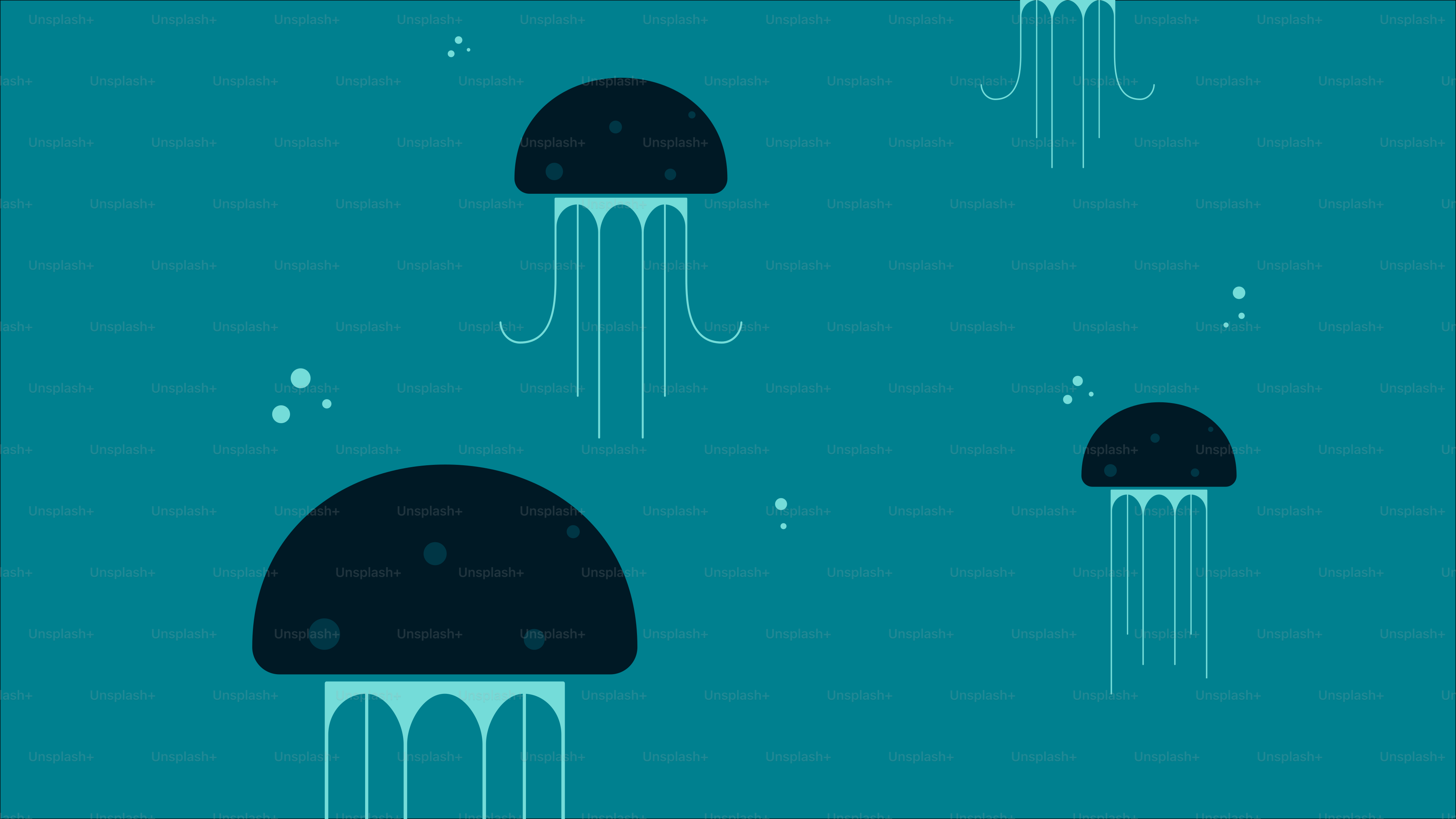 a group of jellyfish floating in the ocean