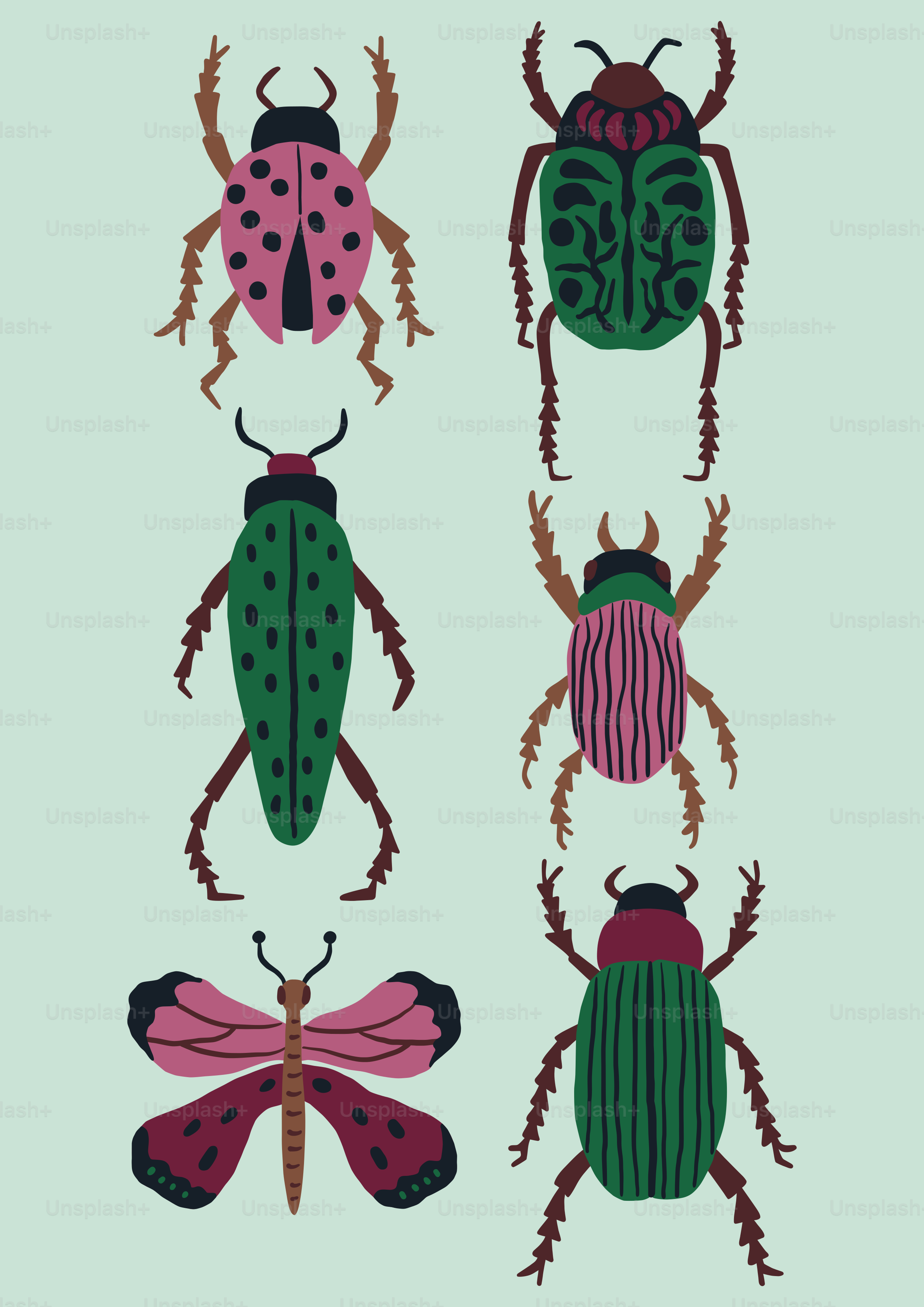 a set of four different colored bugs