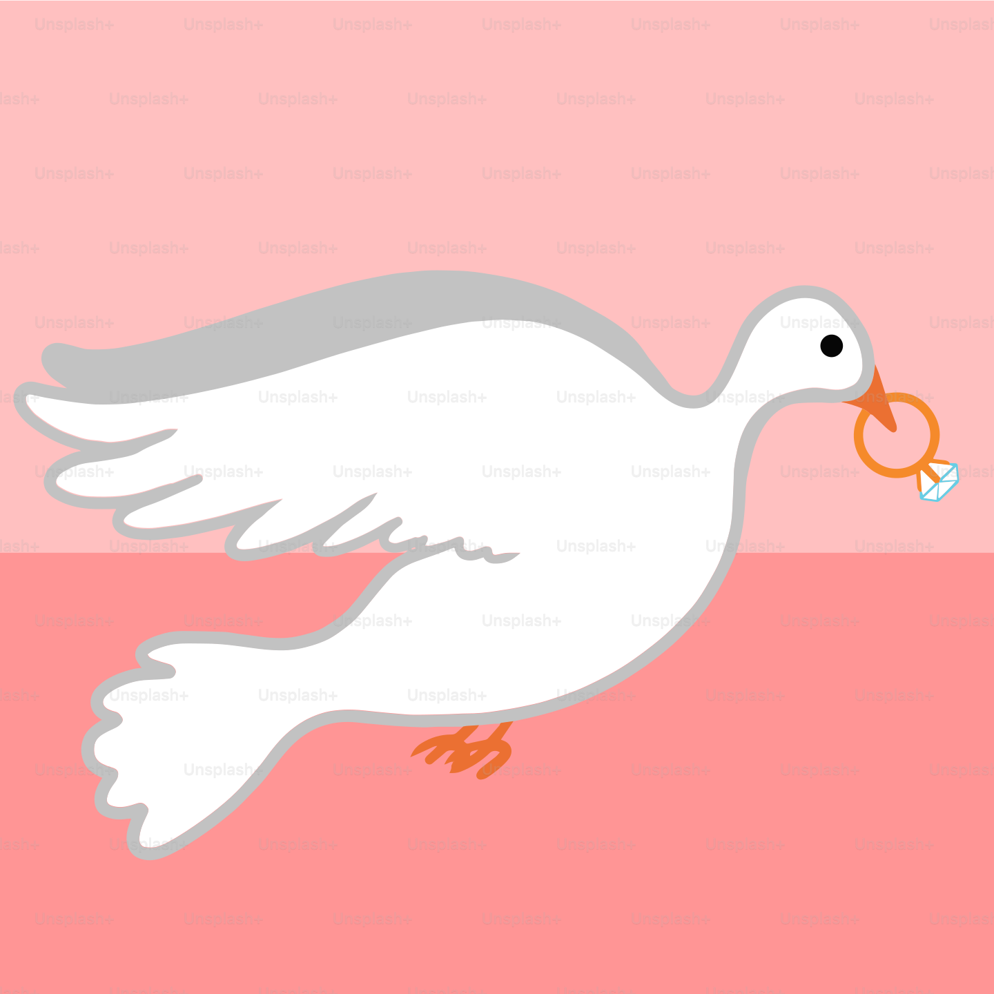 부리에 반지가 달린 흰 새 그림 벡터 – Unsplash의 새 이미지, image size:3000x3000