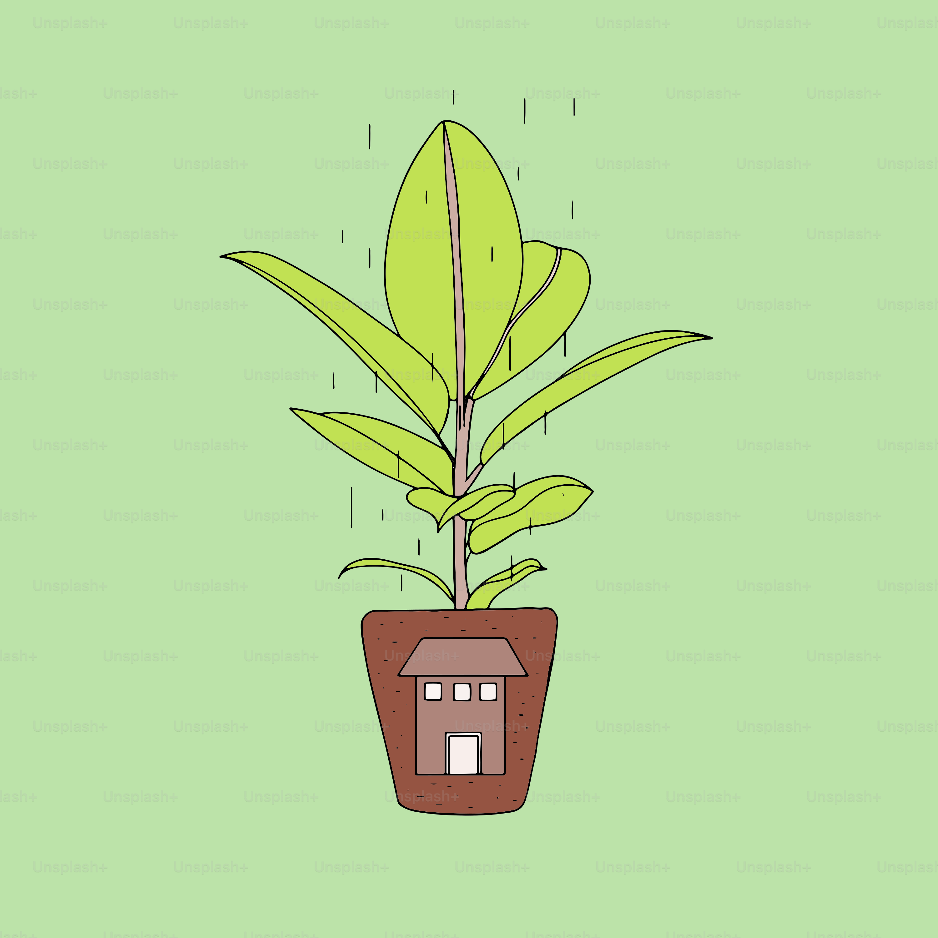 Une plante en pot avec une maison dessus