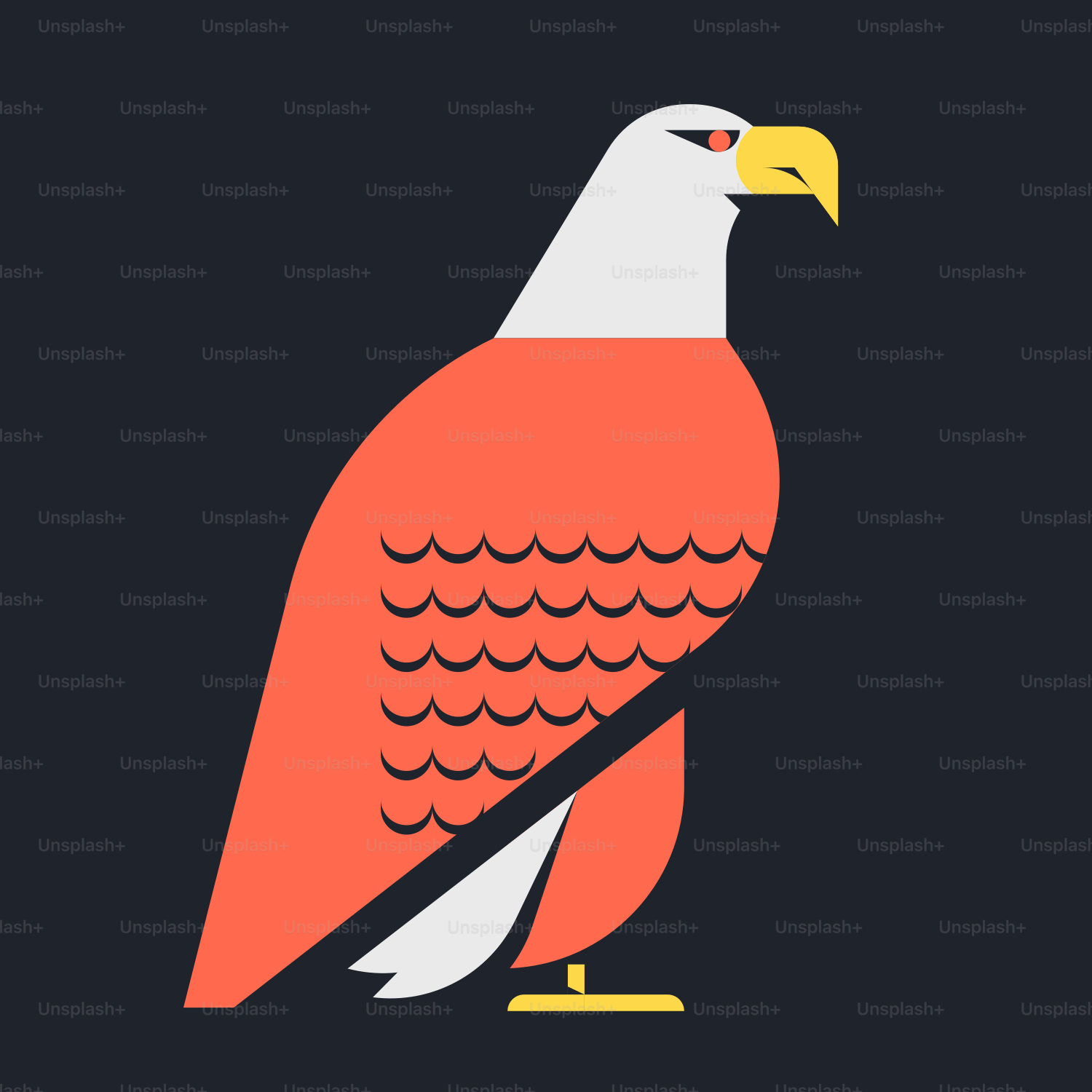A red and white bird on a black background