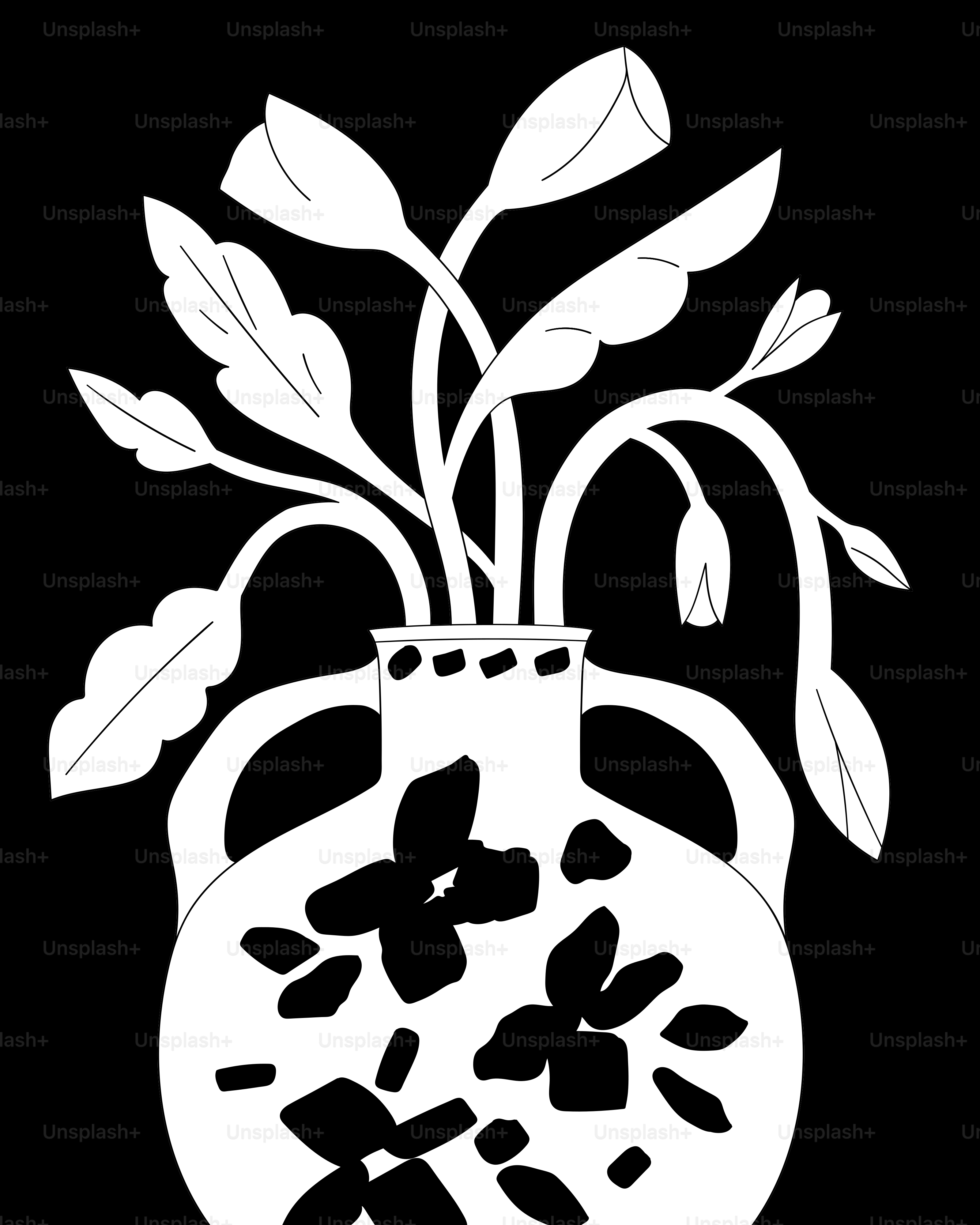 Ein Schwarzweißbild einer Vase mit einer Pflanze darin