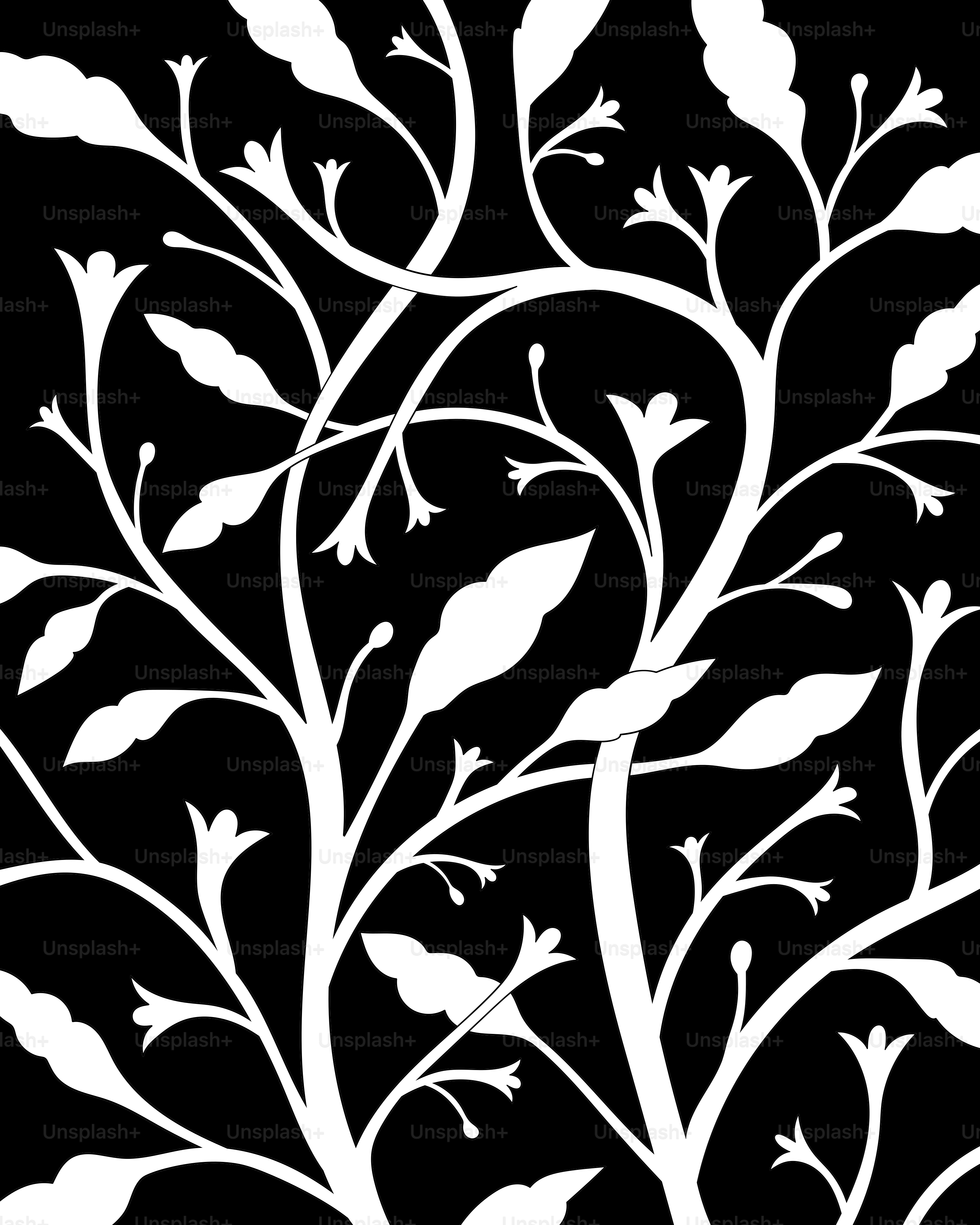 A black and white picture of a tree