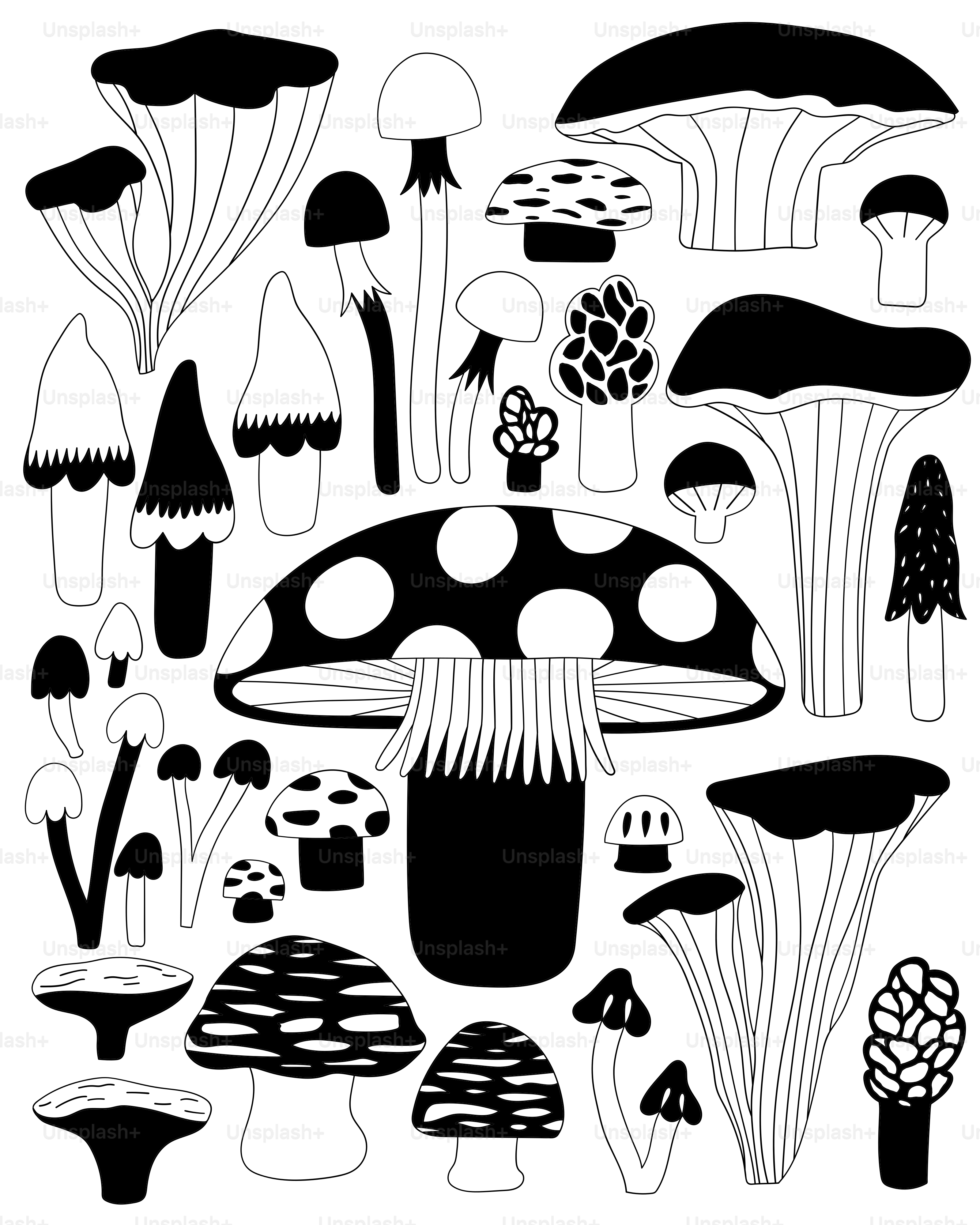 A black and white drawing of a group of mushrooms
