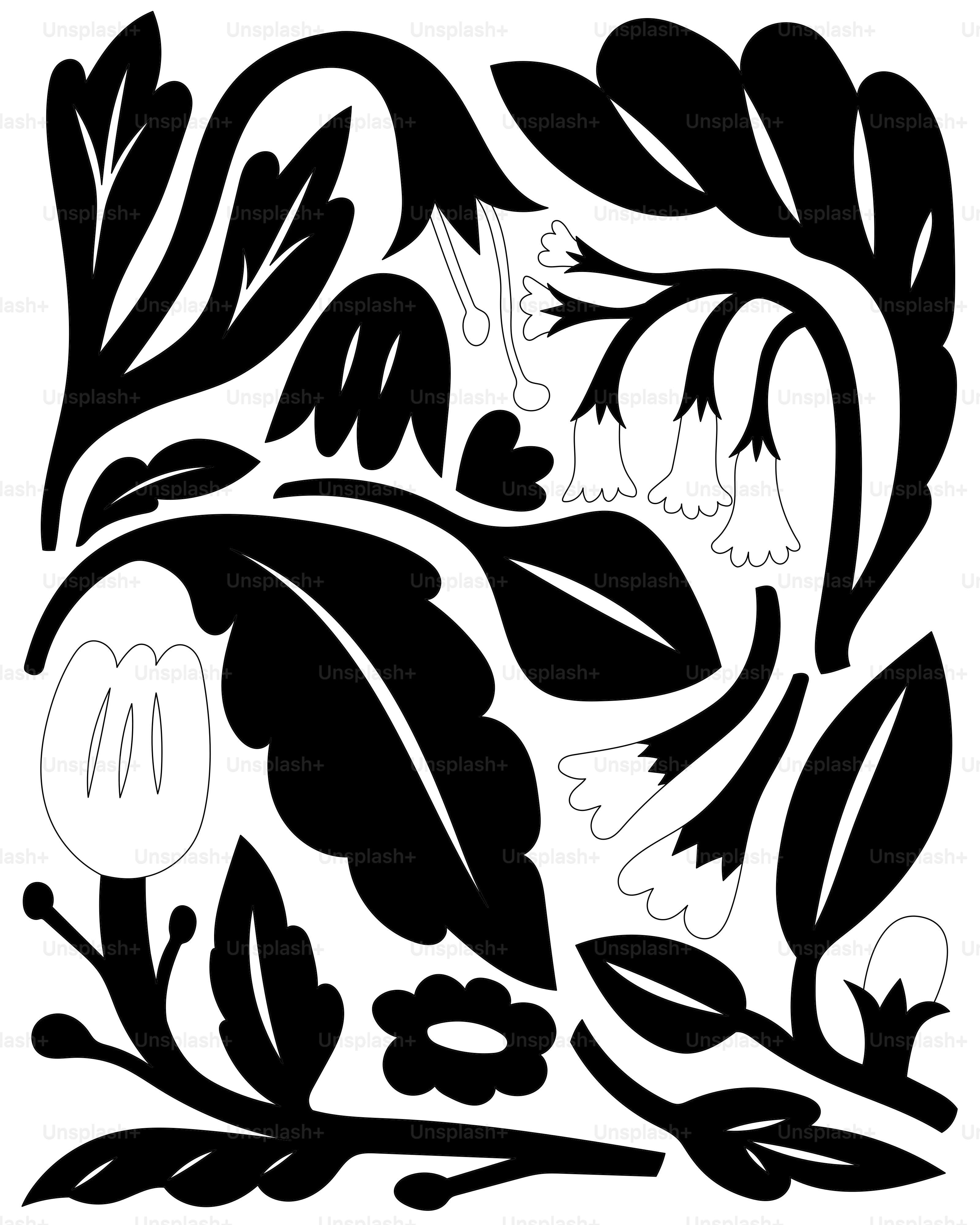 A black and white drawing of leaves and flowers