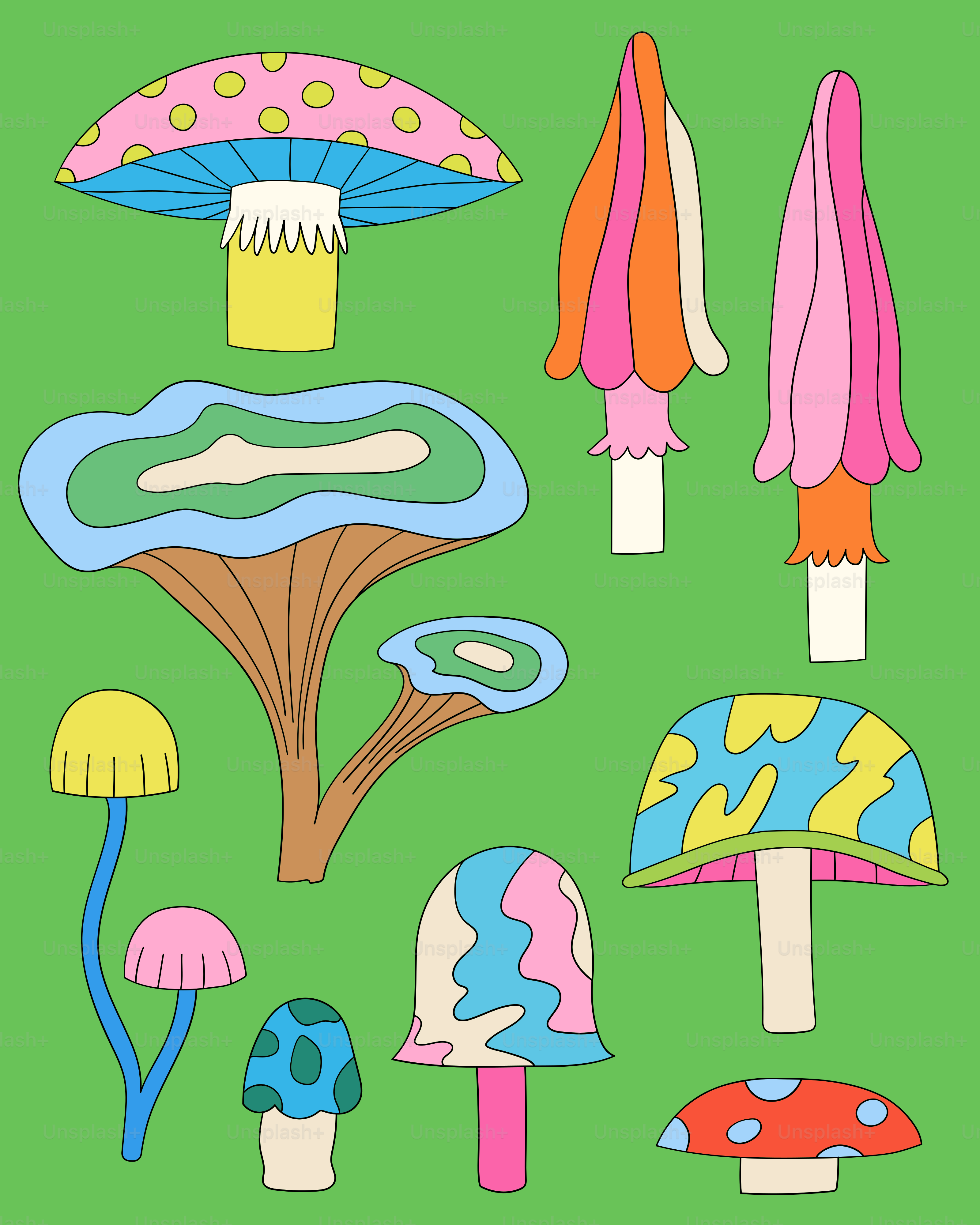 Un sacco di diversi tipi di funghi su uno sfondo verde