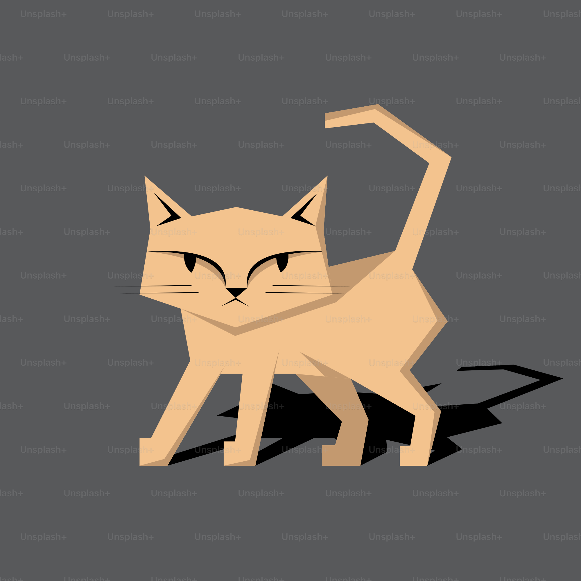 A picture of a cat that is on a gray background