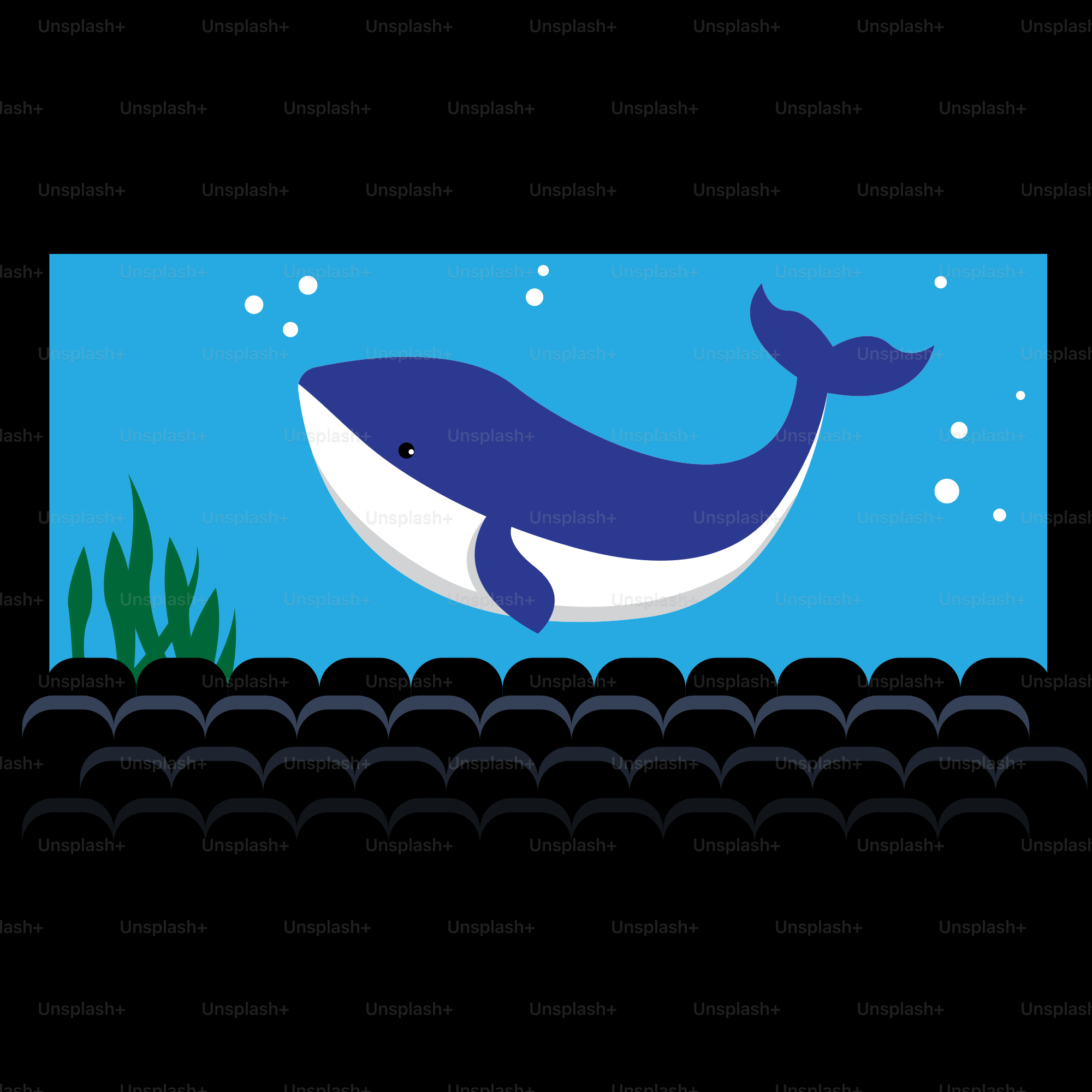 A blue whale swimming in the ocean vector – Illustration Image on Unsplash, image size:3000x3000