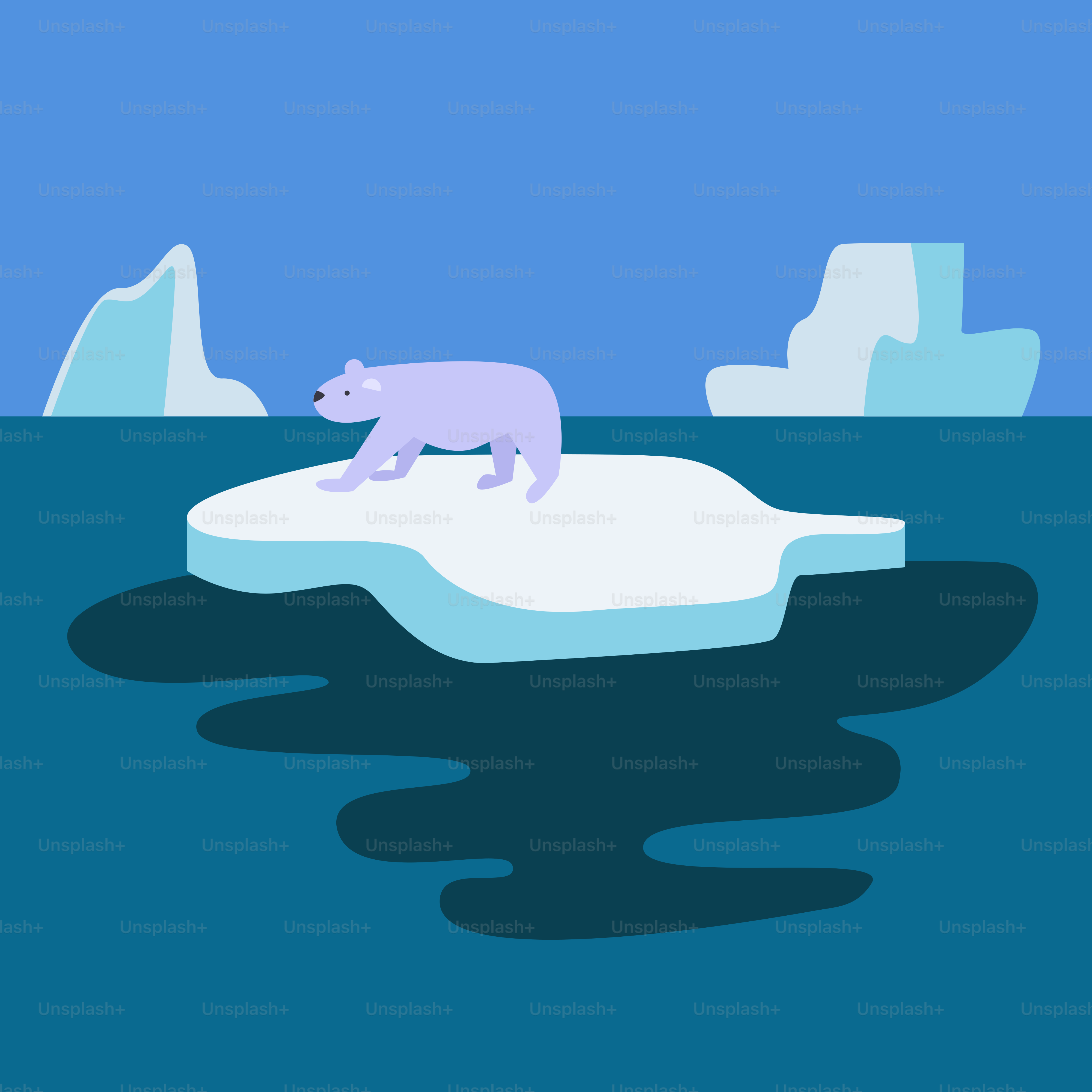 A polar bear on an iceberg floating in the ocean