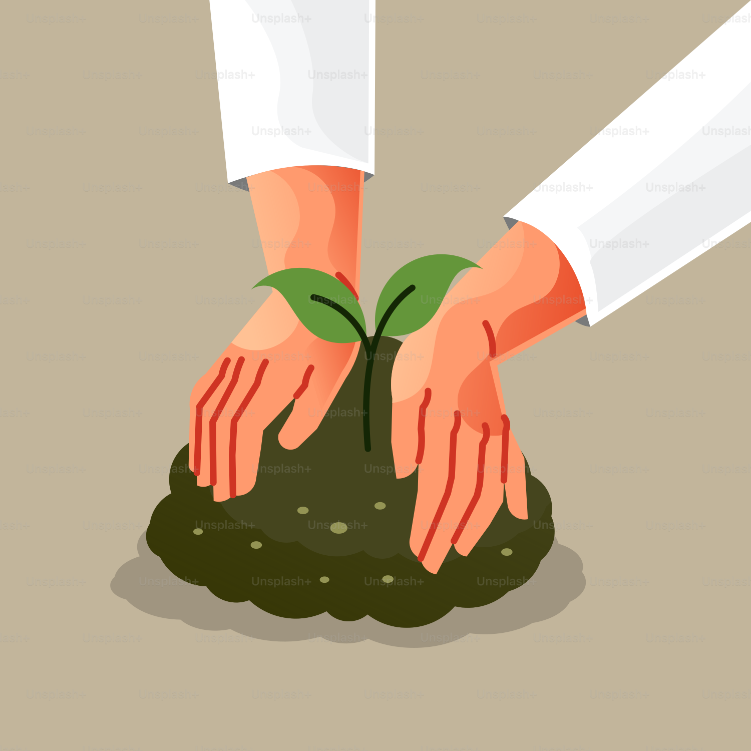 Zwei Hände halten eine grüne Pflanze auf einem Erdhaufen