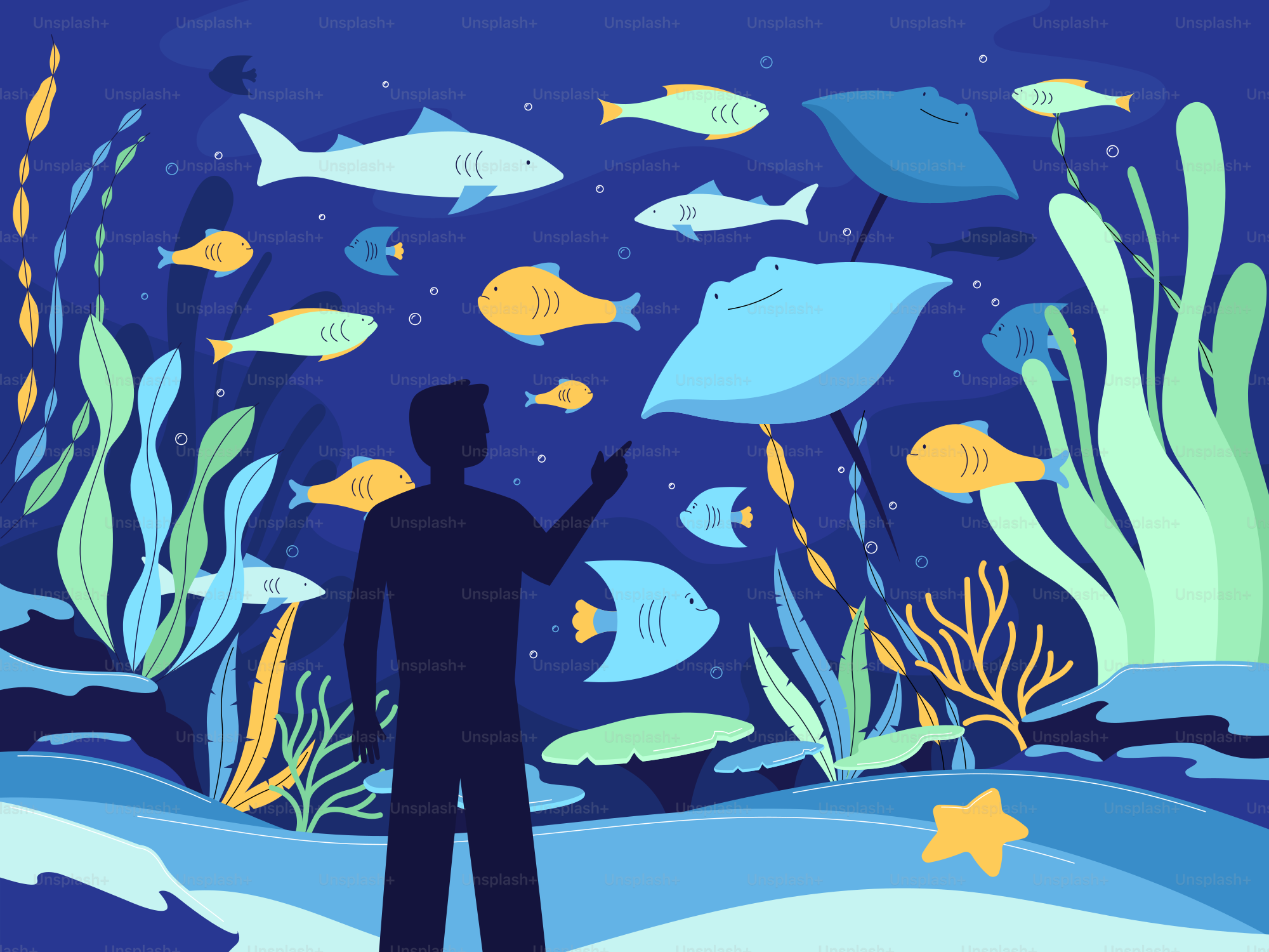 Ein Mann steht vor einem Aquarium voller Fische