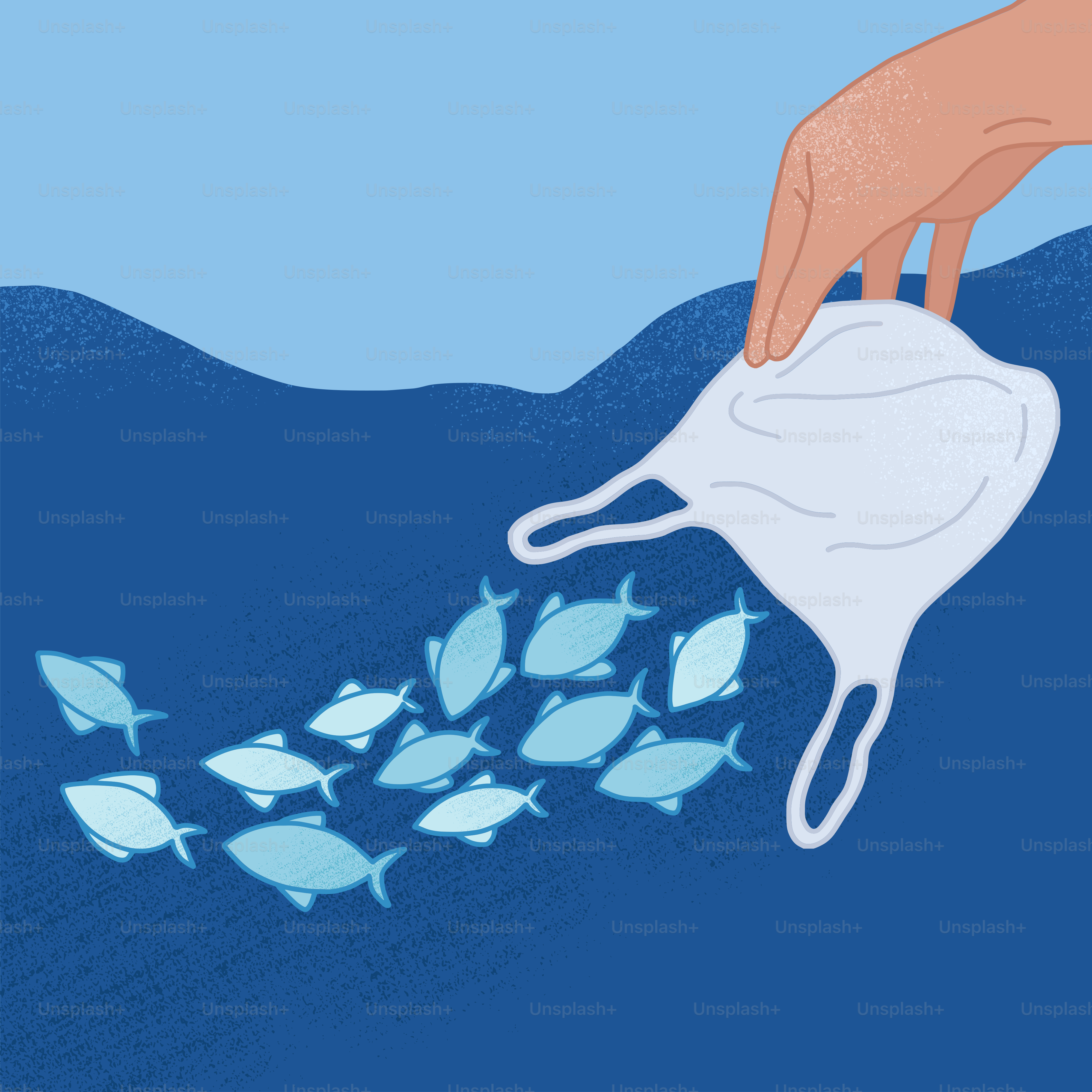 魚の群れに布をかぶせている手