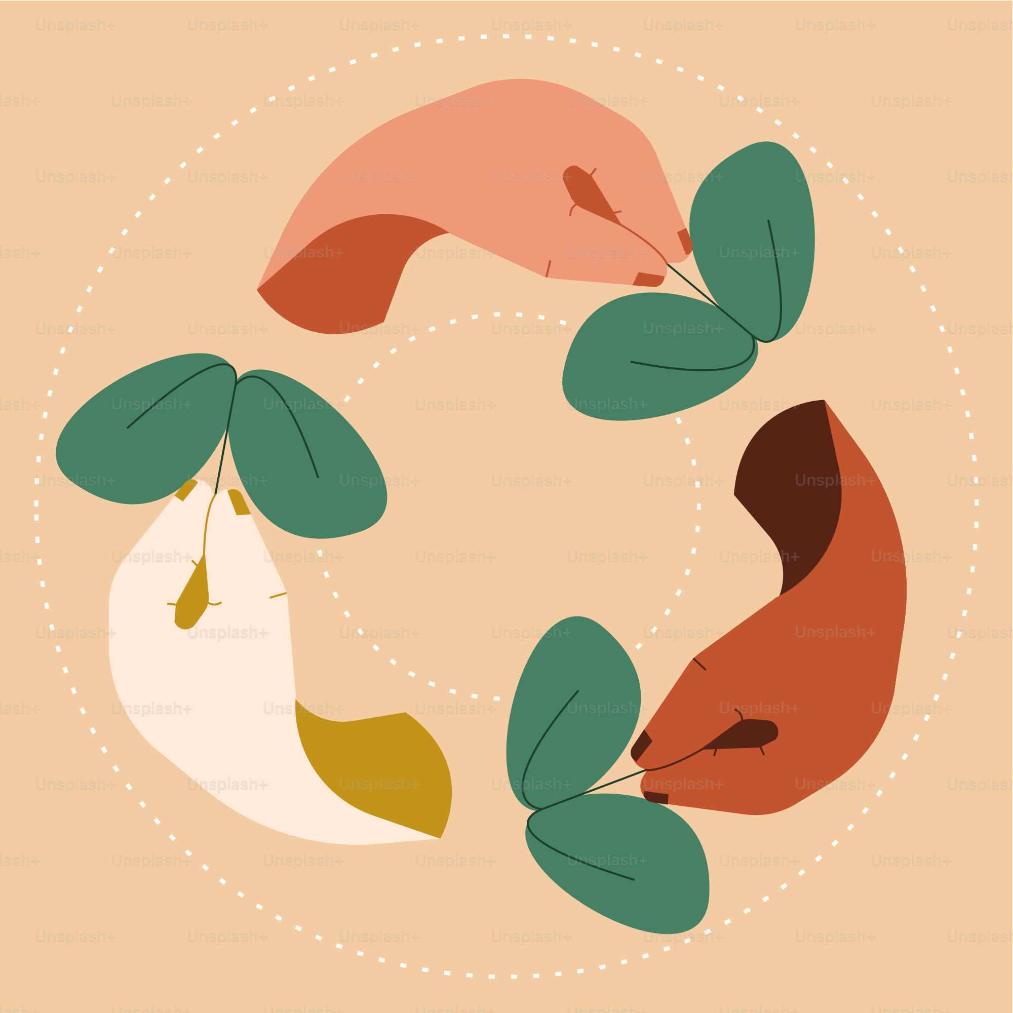 A couple of birds sitting on top of a tree