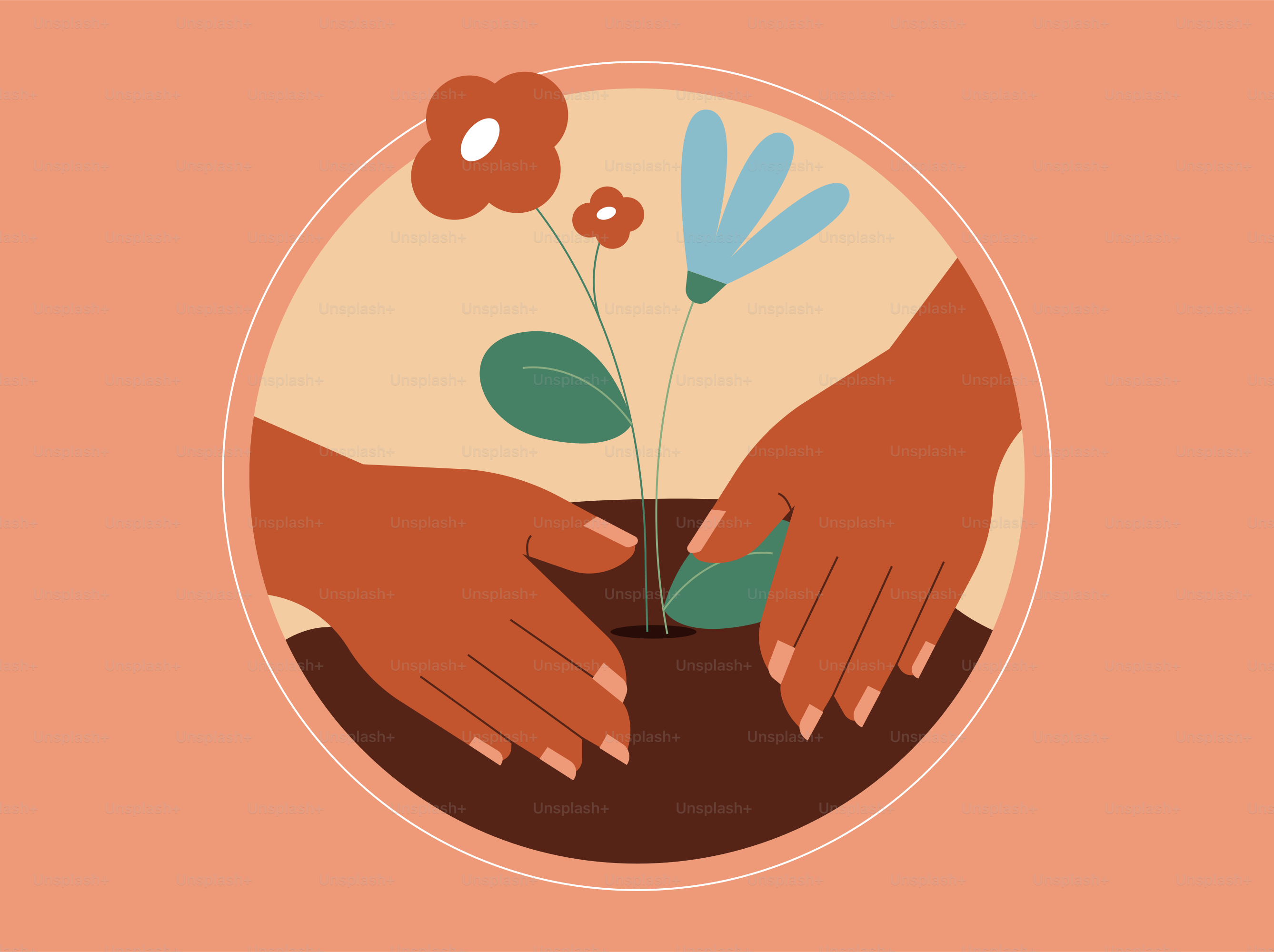 Two hands holding a flower in a vase