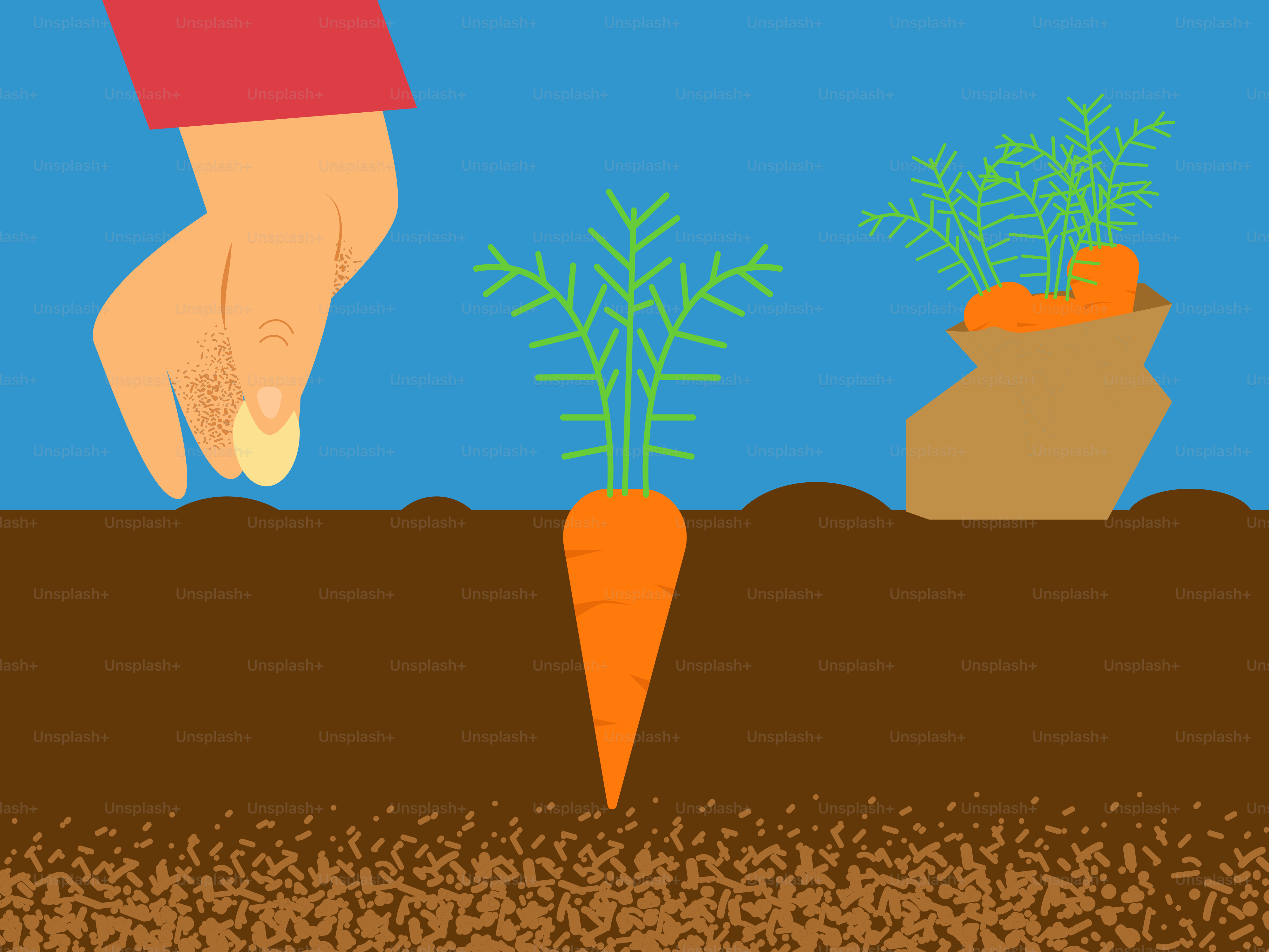 Eine Hand, die nach einer Karotte im Boden greift