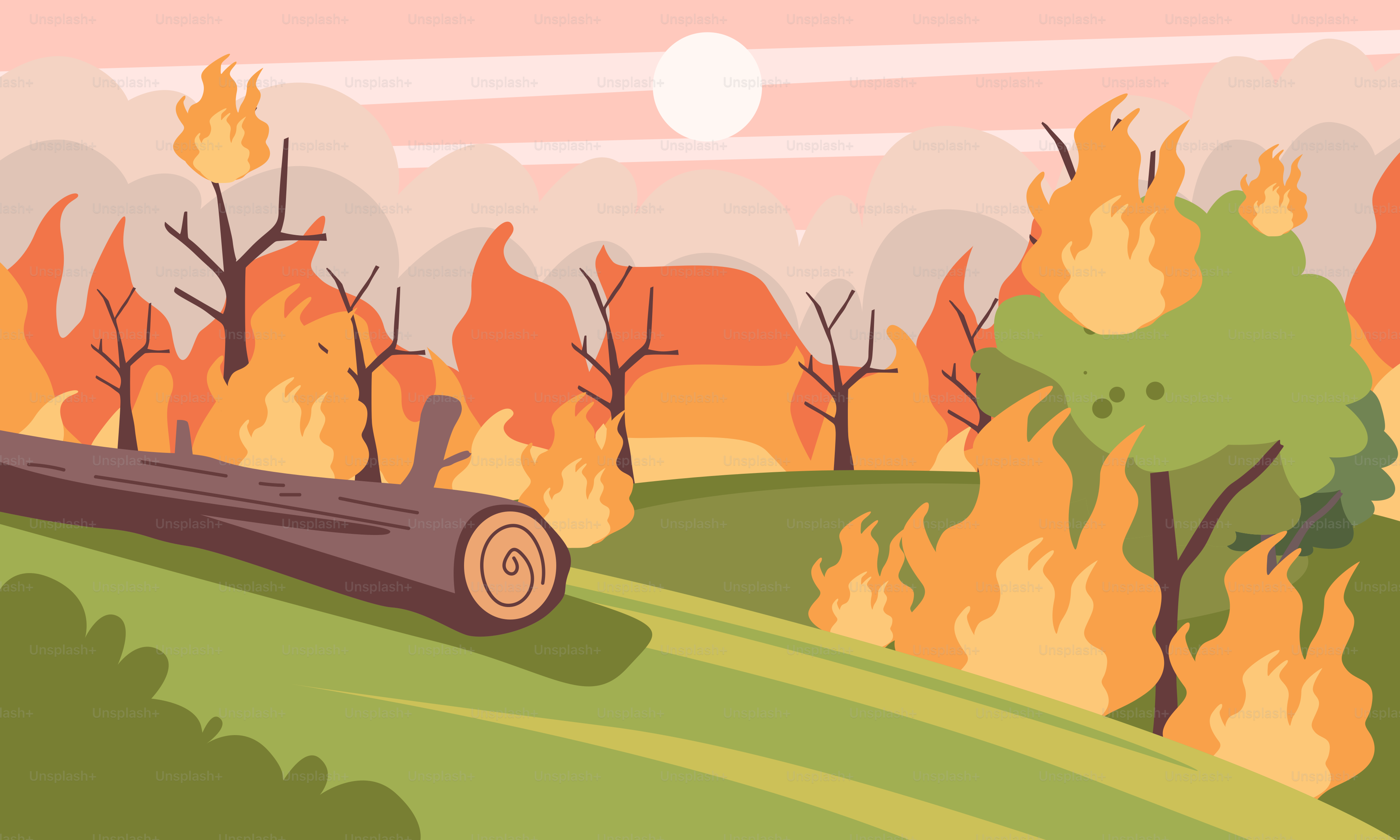 A picture of a tree that is on a hill