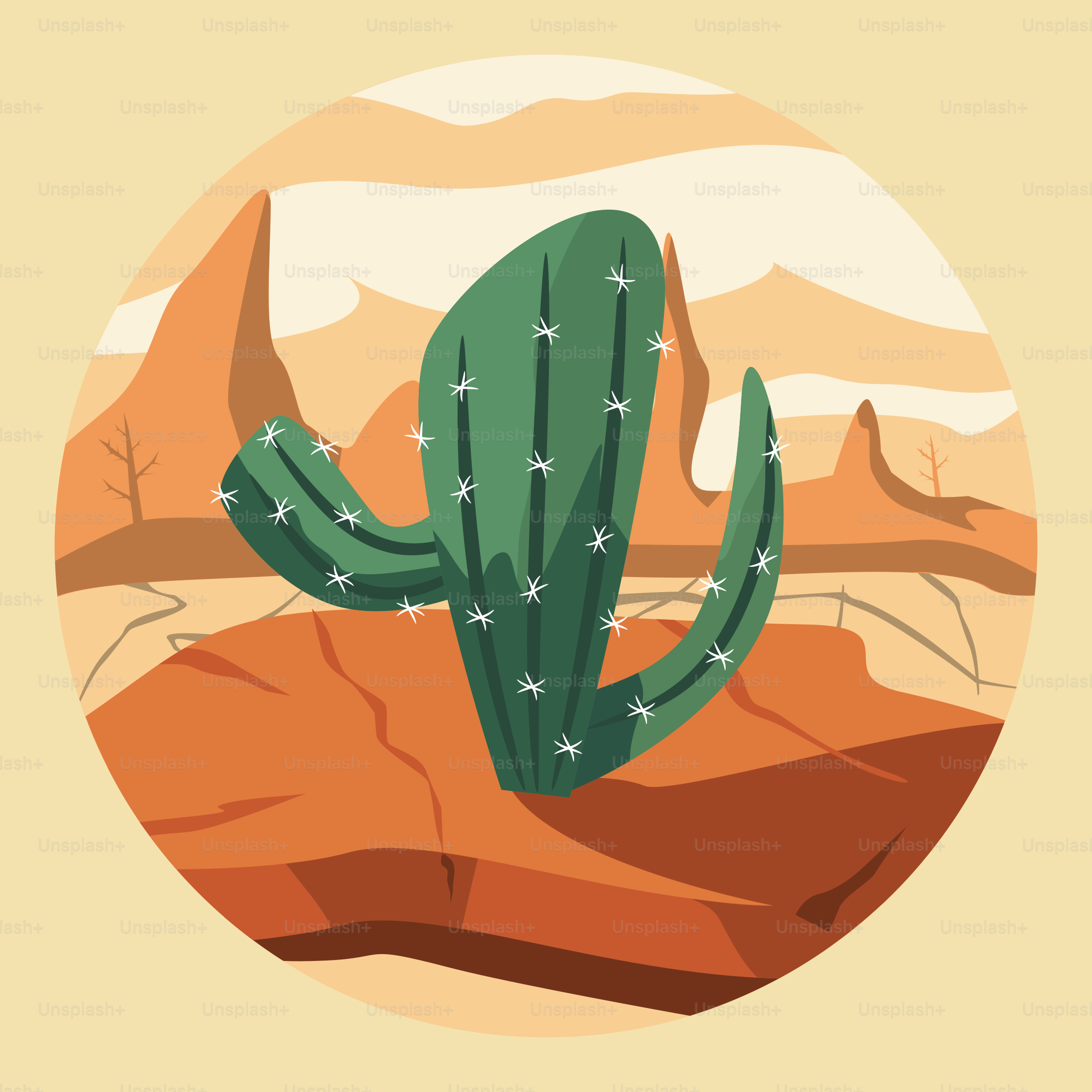 A picture of a cactus in the desert