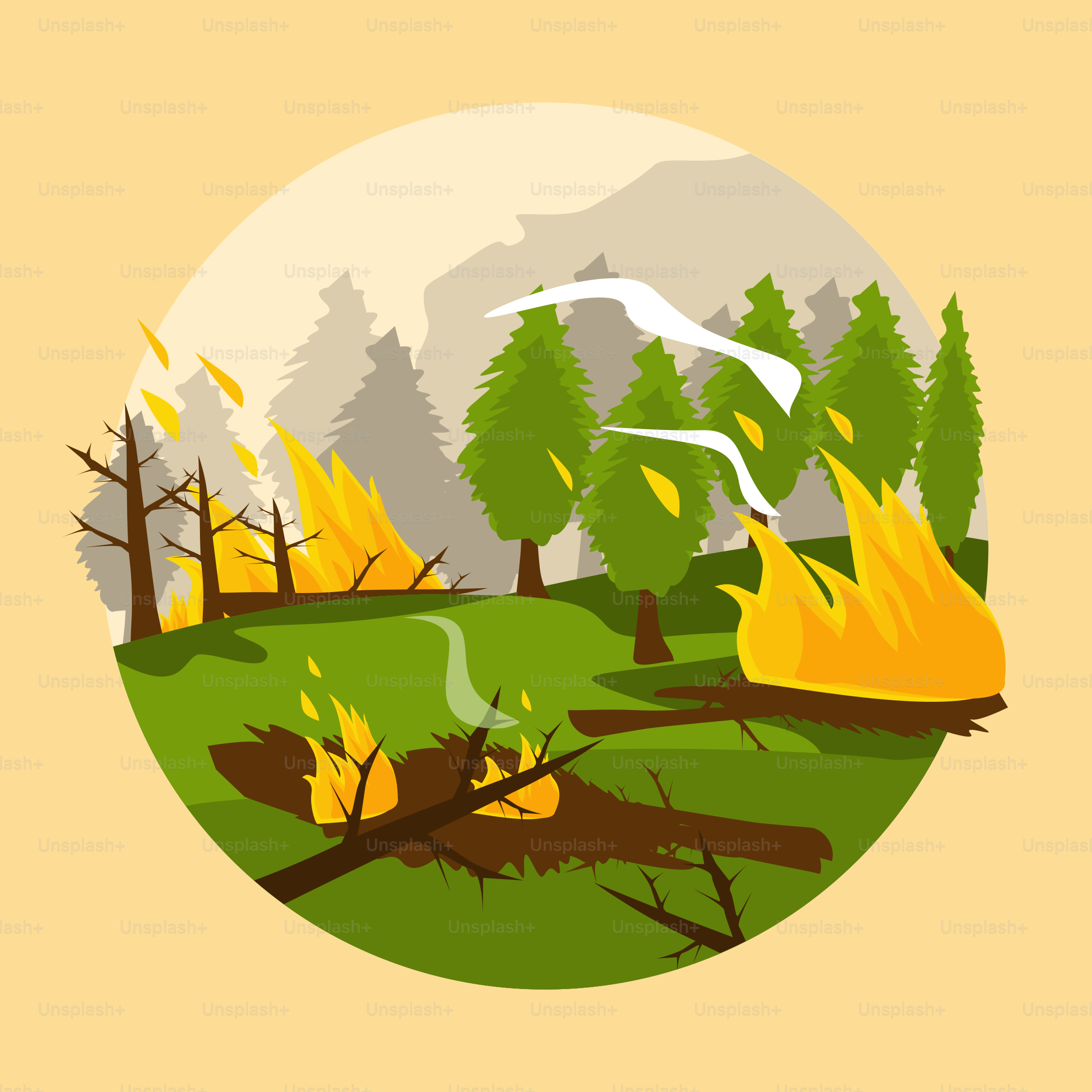 A picture of a campfire in the woods