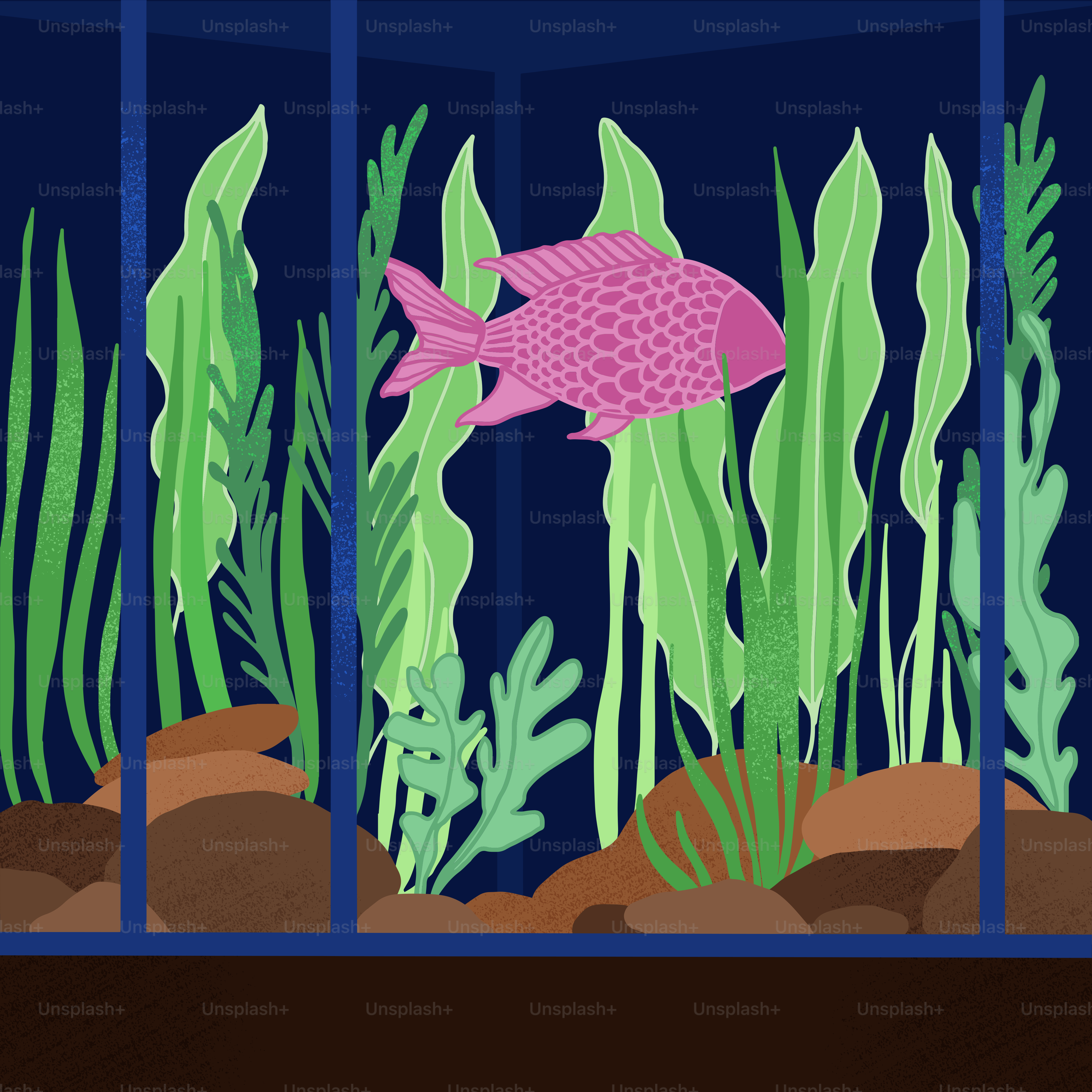 A fish in an aquarium with plants and rocks