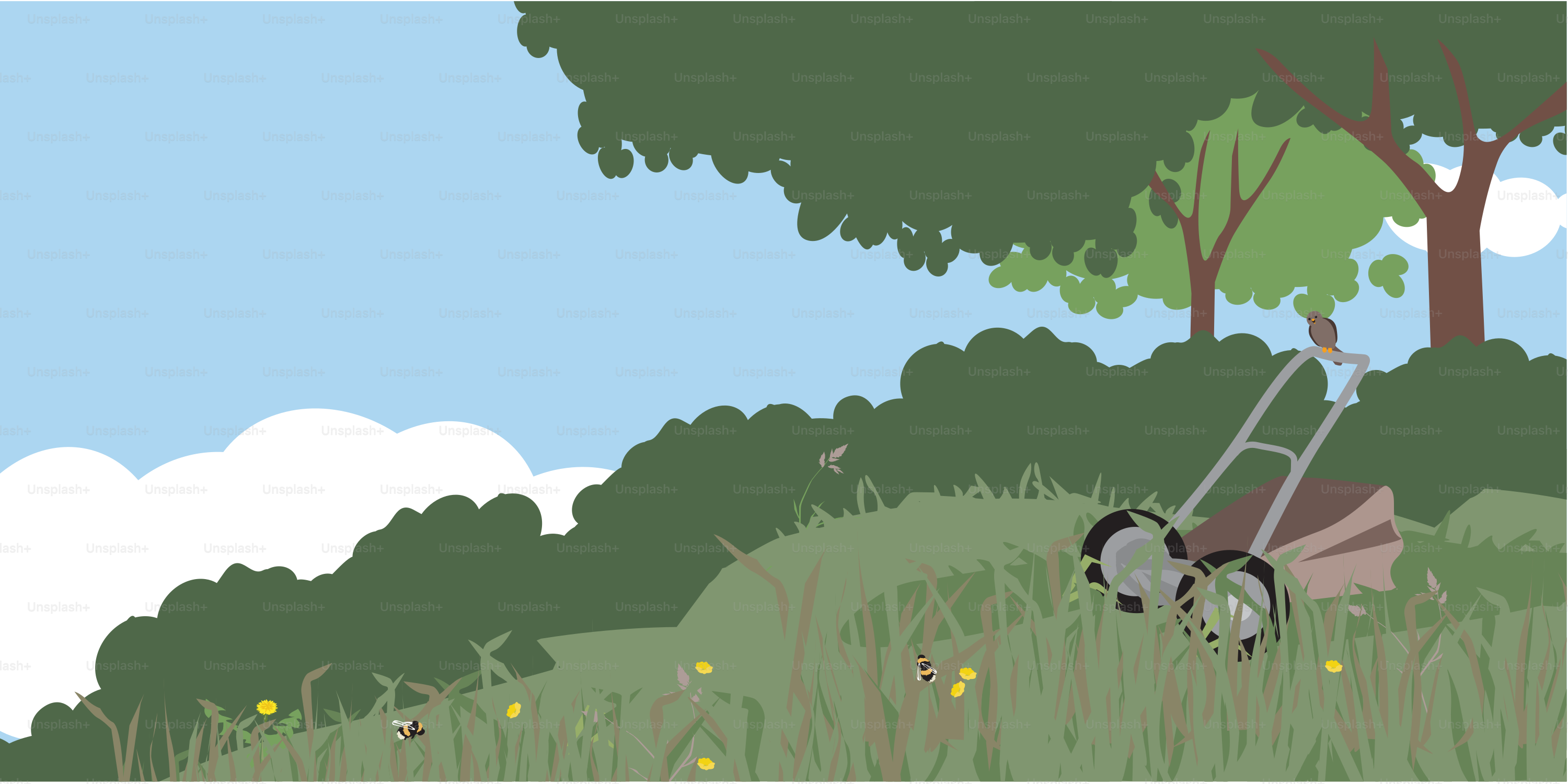 A picture of a lawn mower in the grass