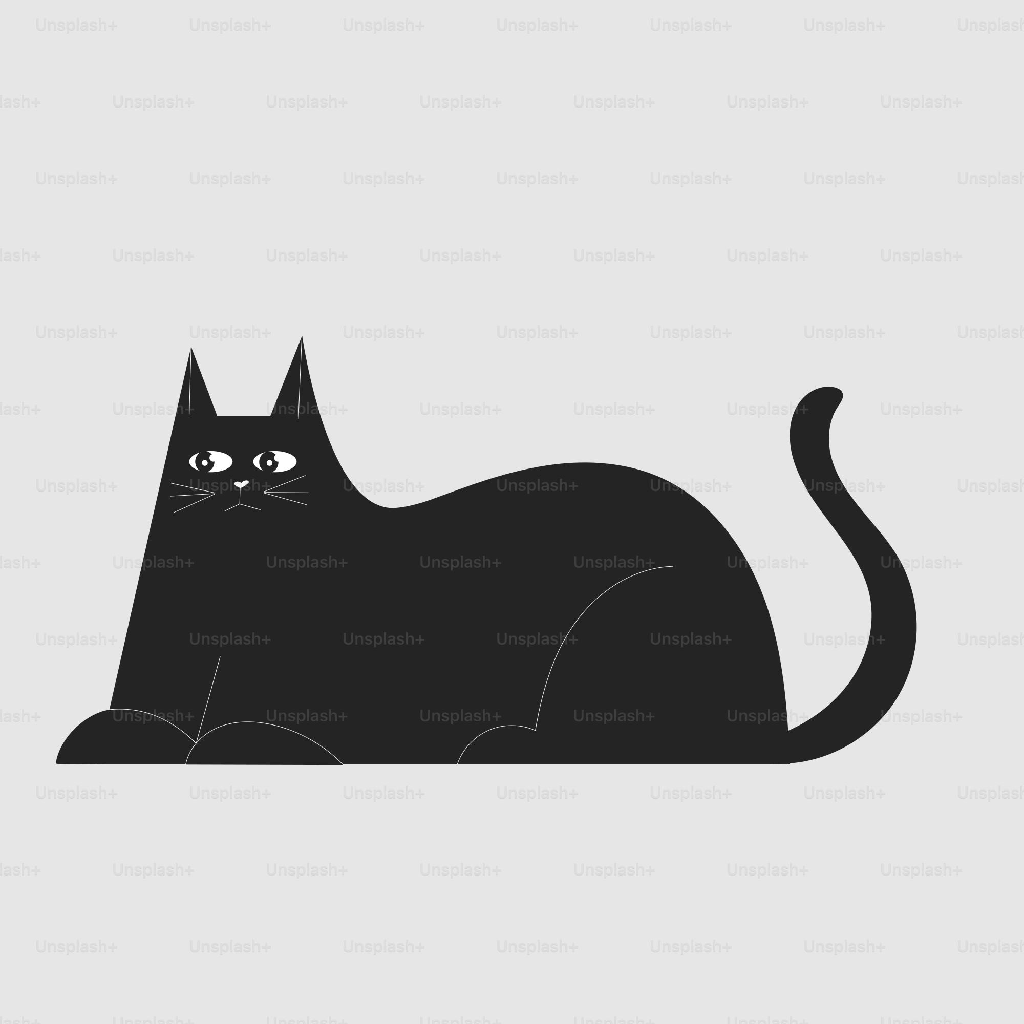 A black cat sitting on top of a white floor