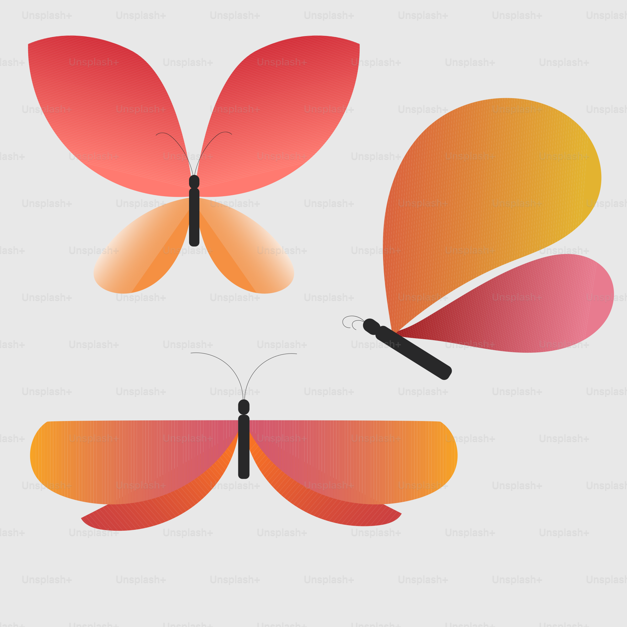 A group of three different colored butterflies