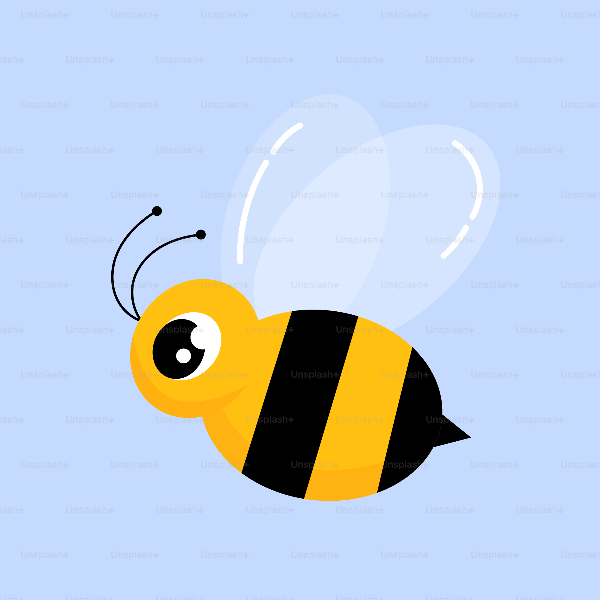 100+ Bee Pictures | Download Free Images \u0026 Stock Photos on Unsplash, image size:3000x3000