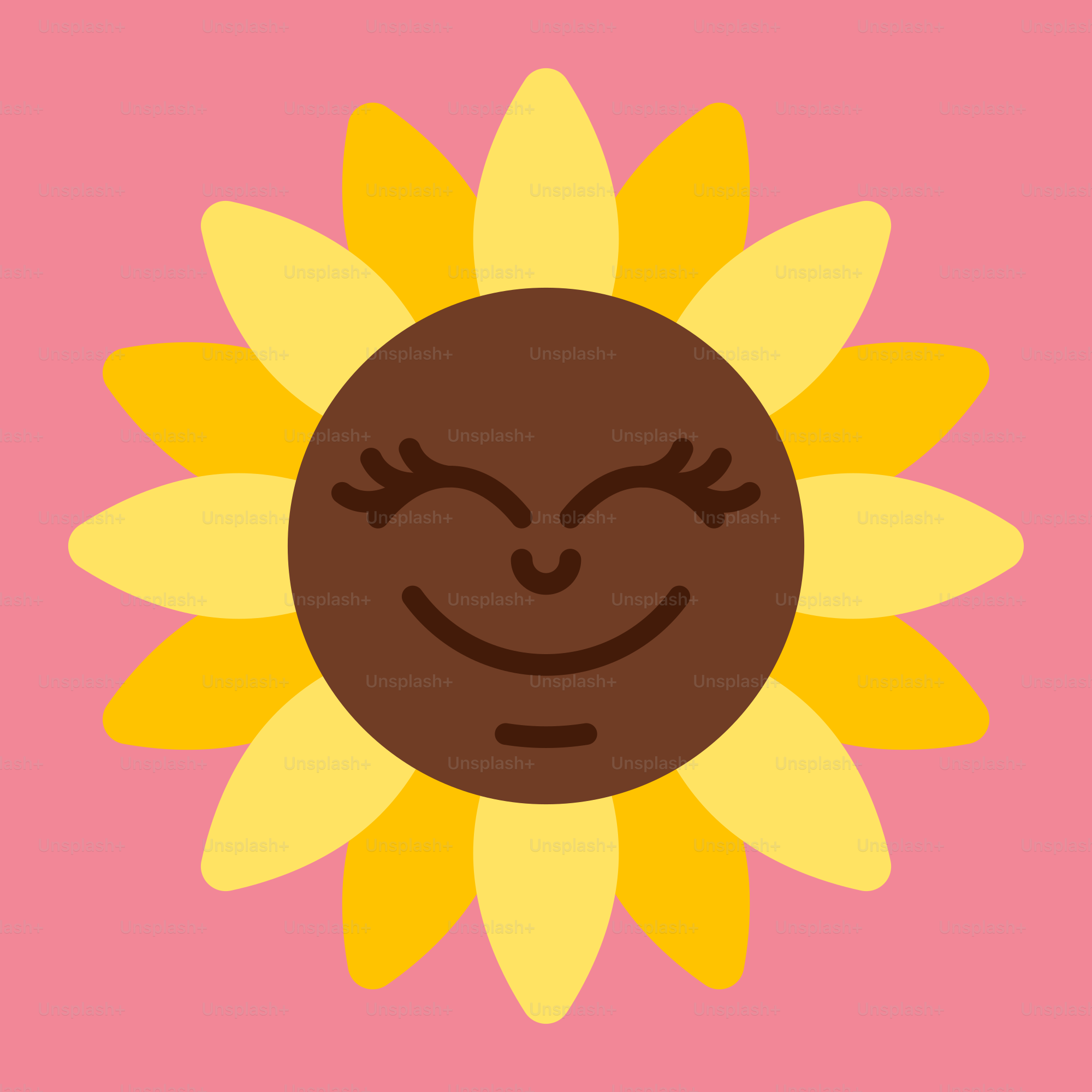 A sunflower with a smiling face on a pink background