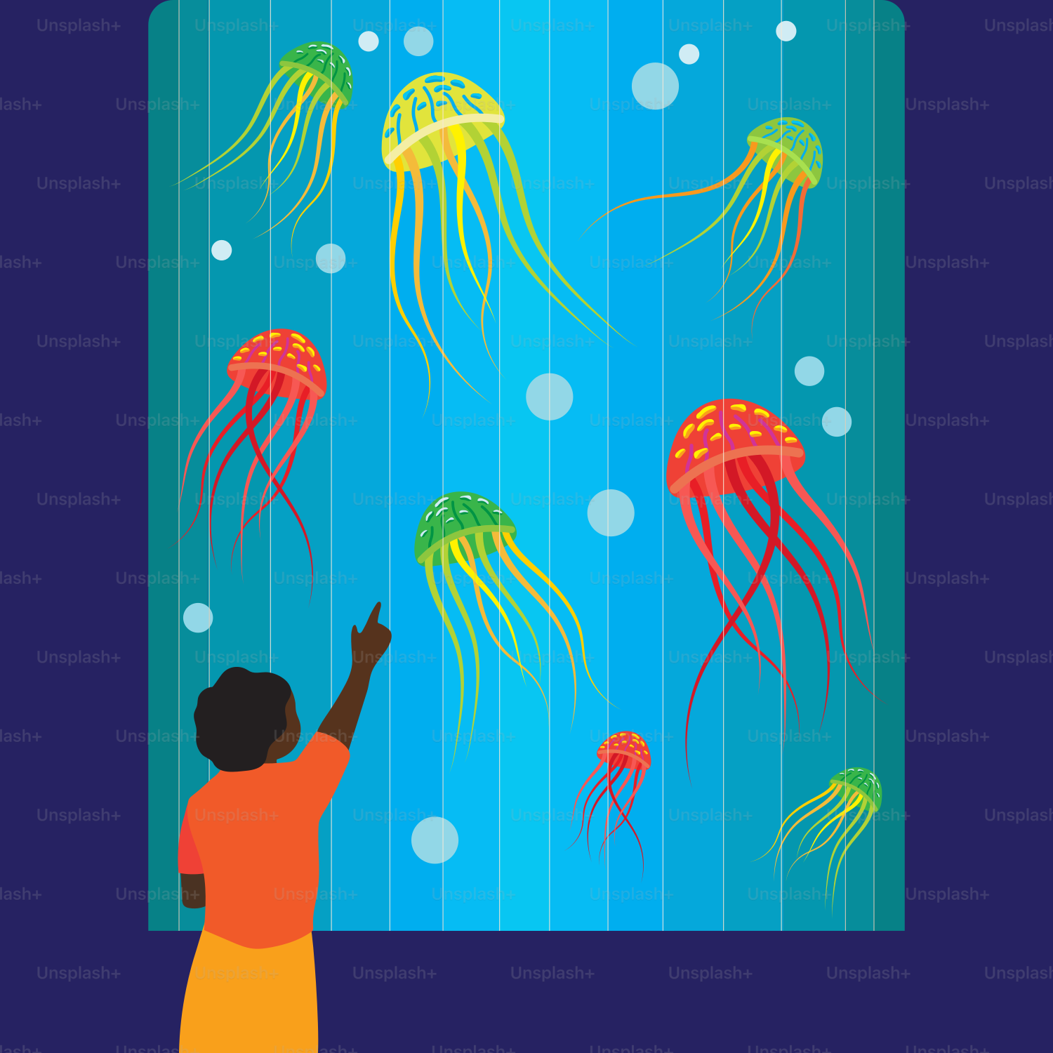 A child is looking at jellyfish in the ocean