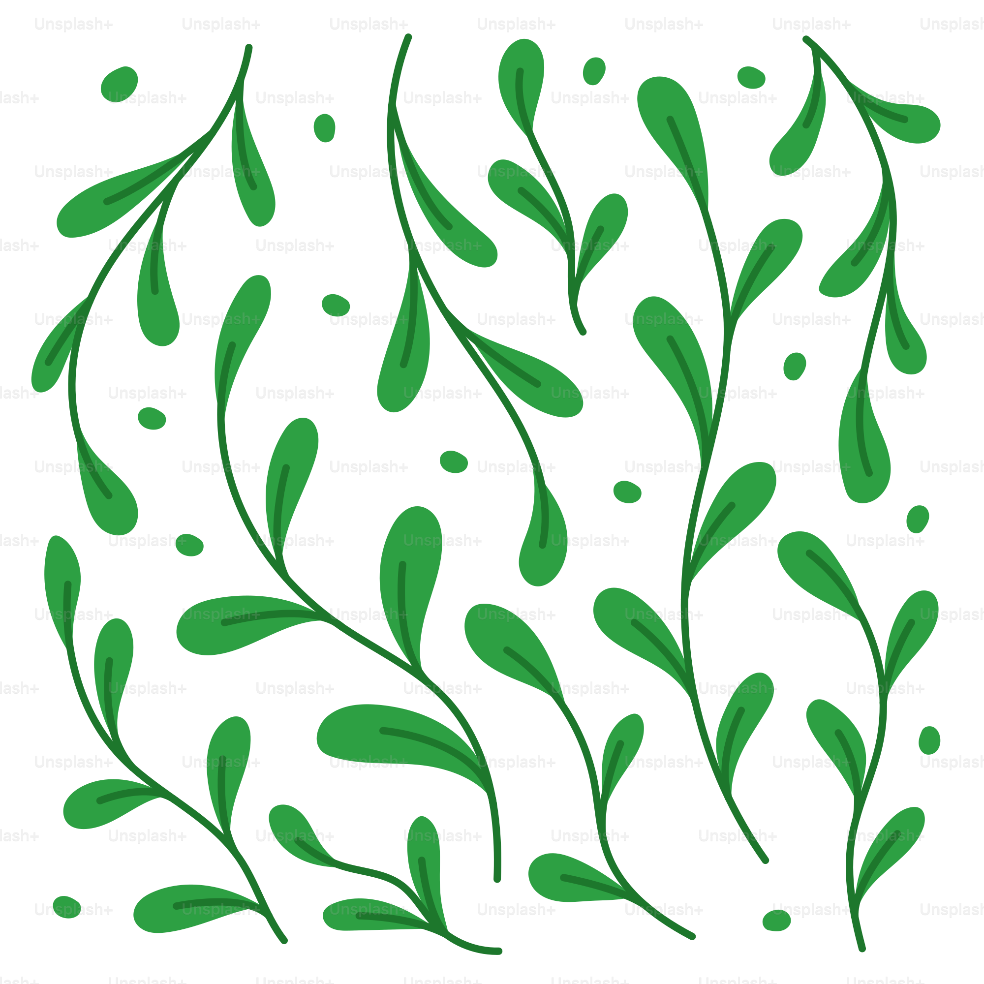 緑の葉を持つ植物の写真