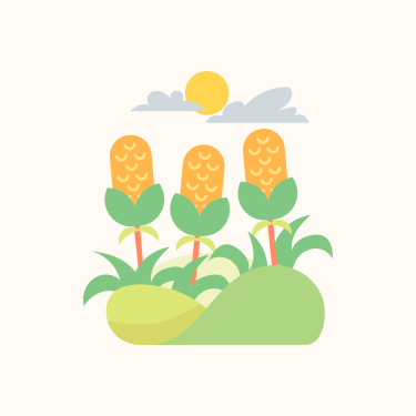 An illustration of corn on the cob