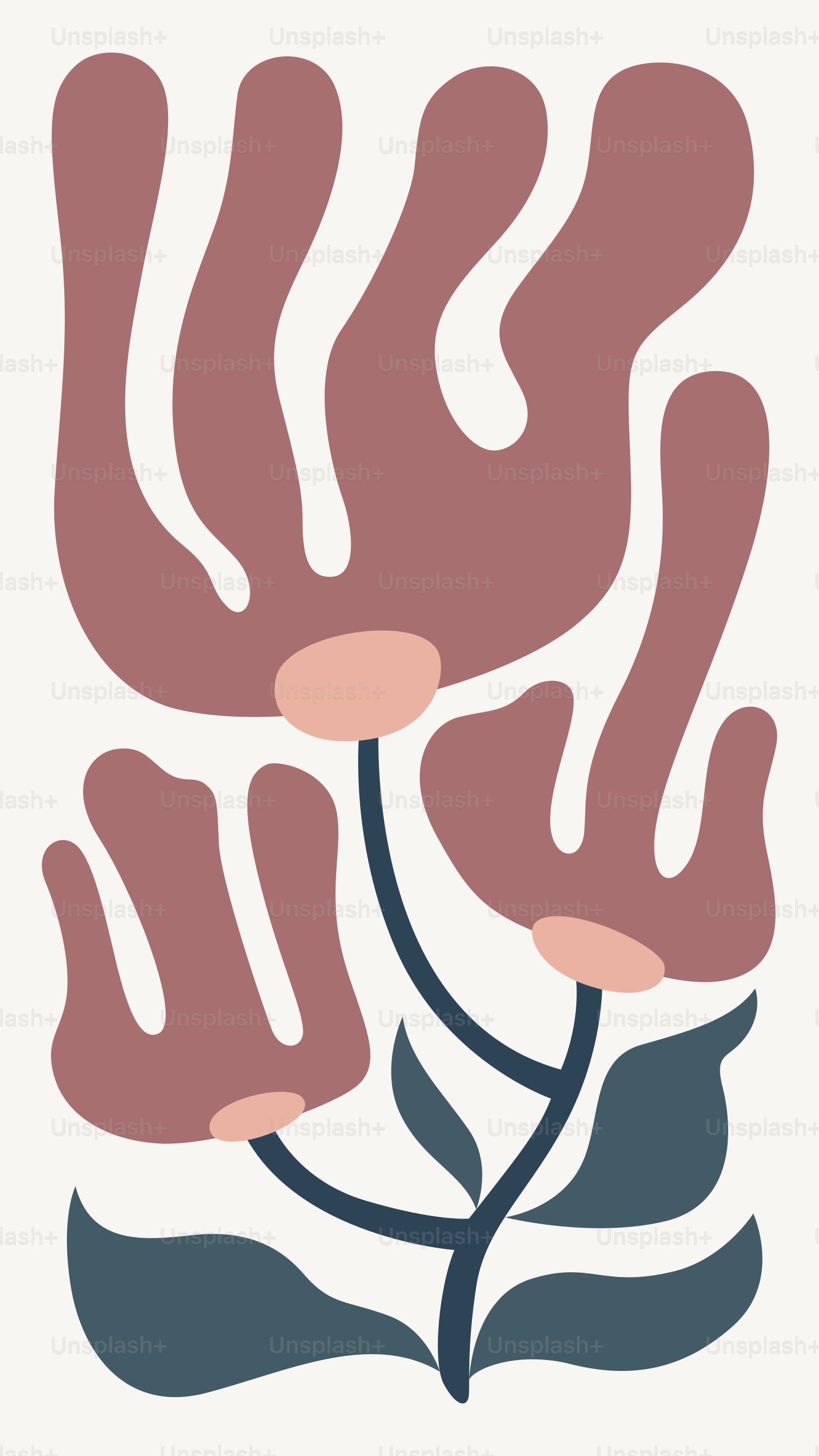 A picture of a flower that is on a white background