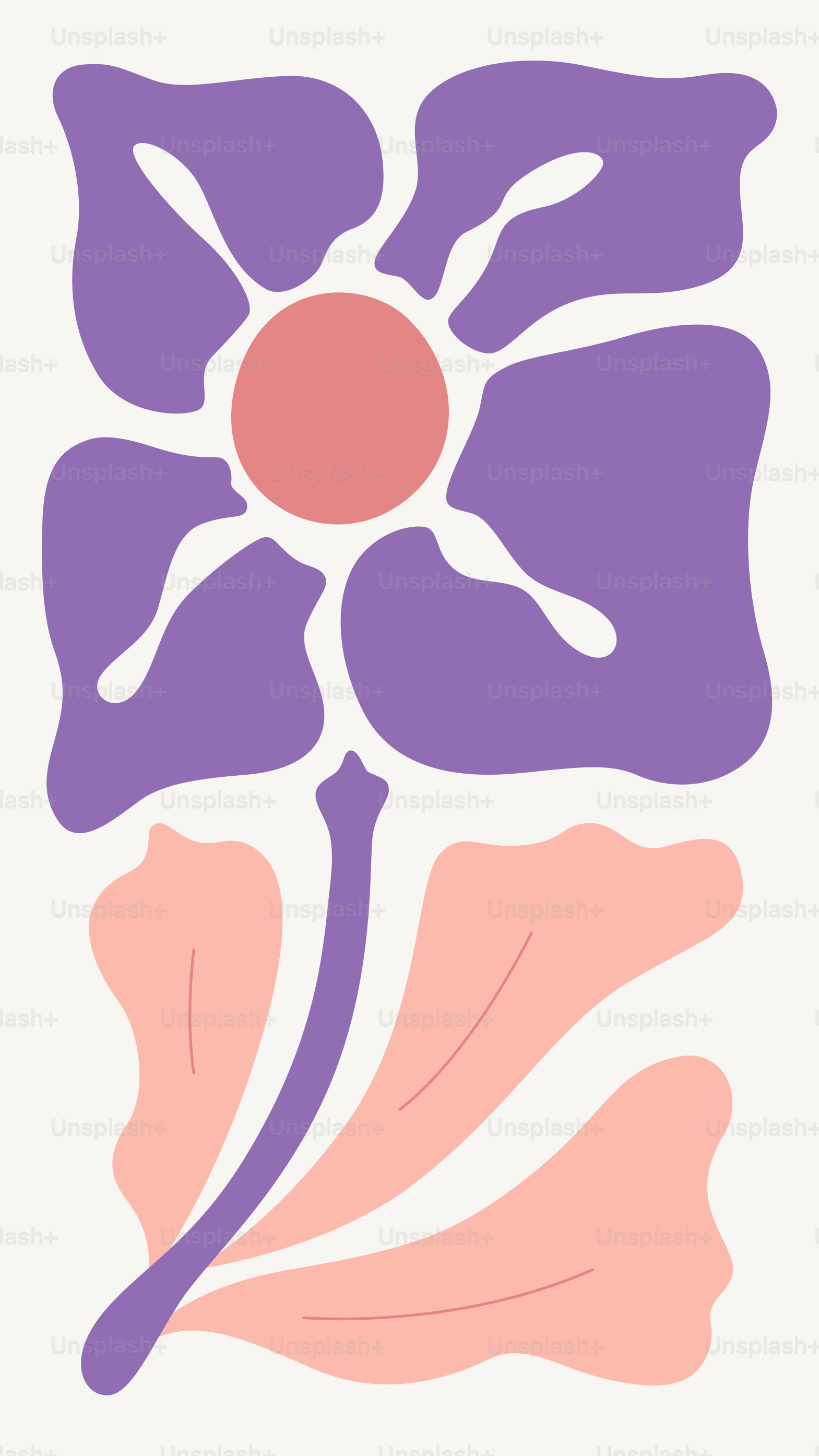 A picture of a flower on a white background