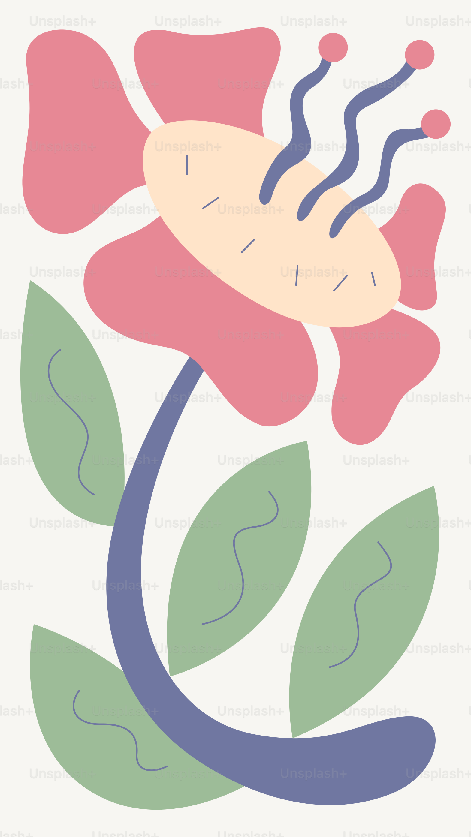 A pink flower with green leaves on a white background