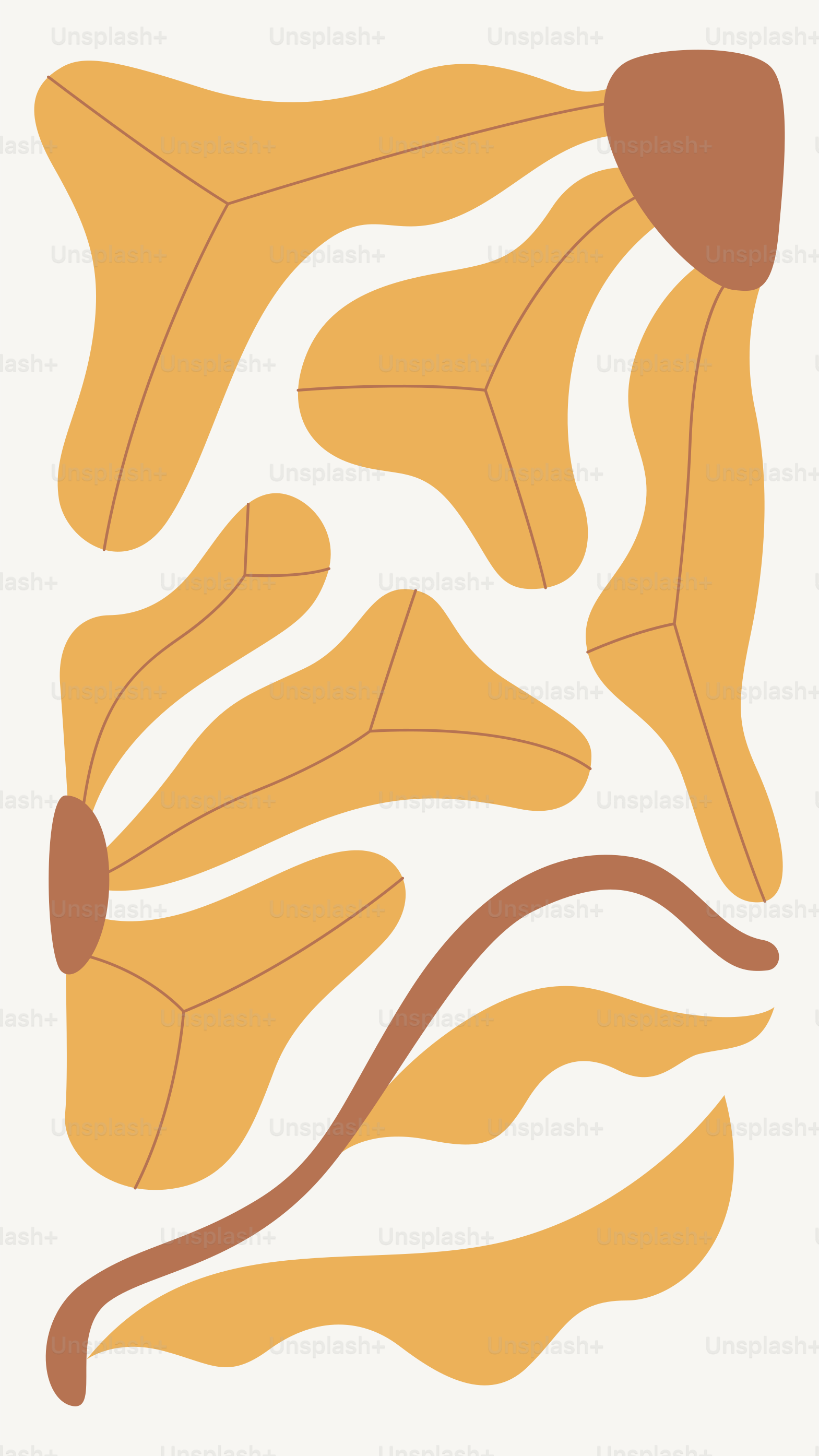 A drawing of a leaf and a plant