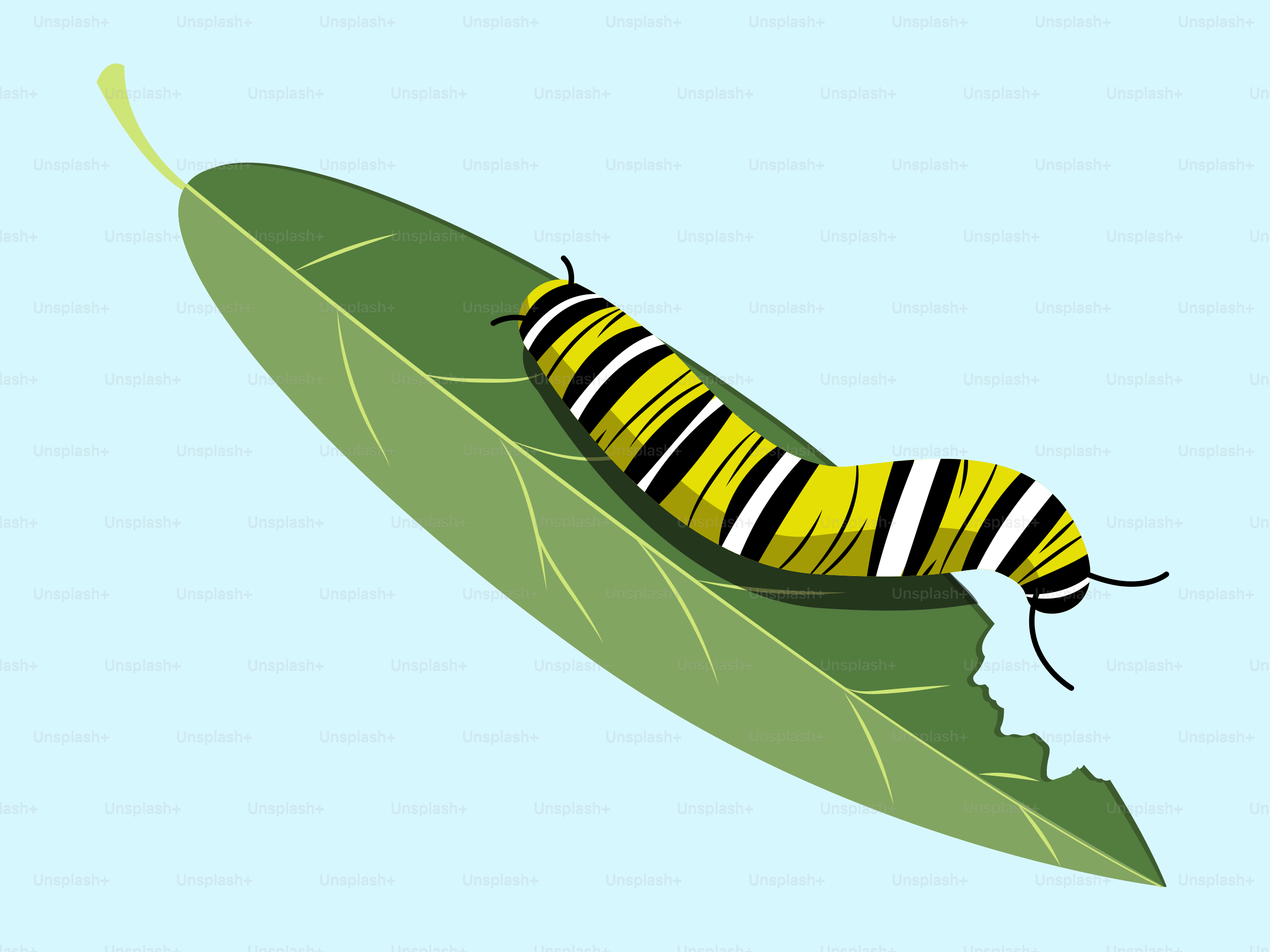 A caterpillar is sitting on a green leaf