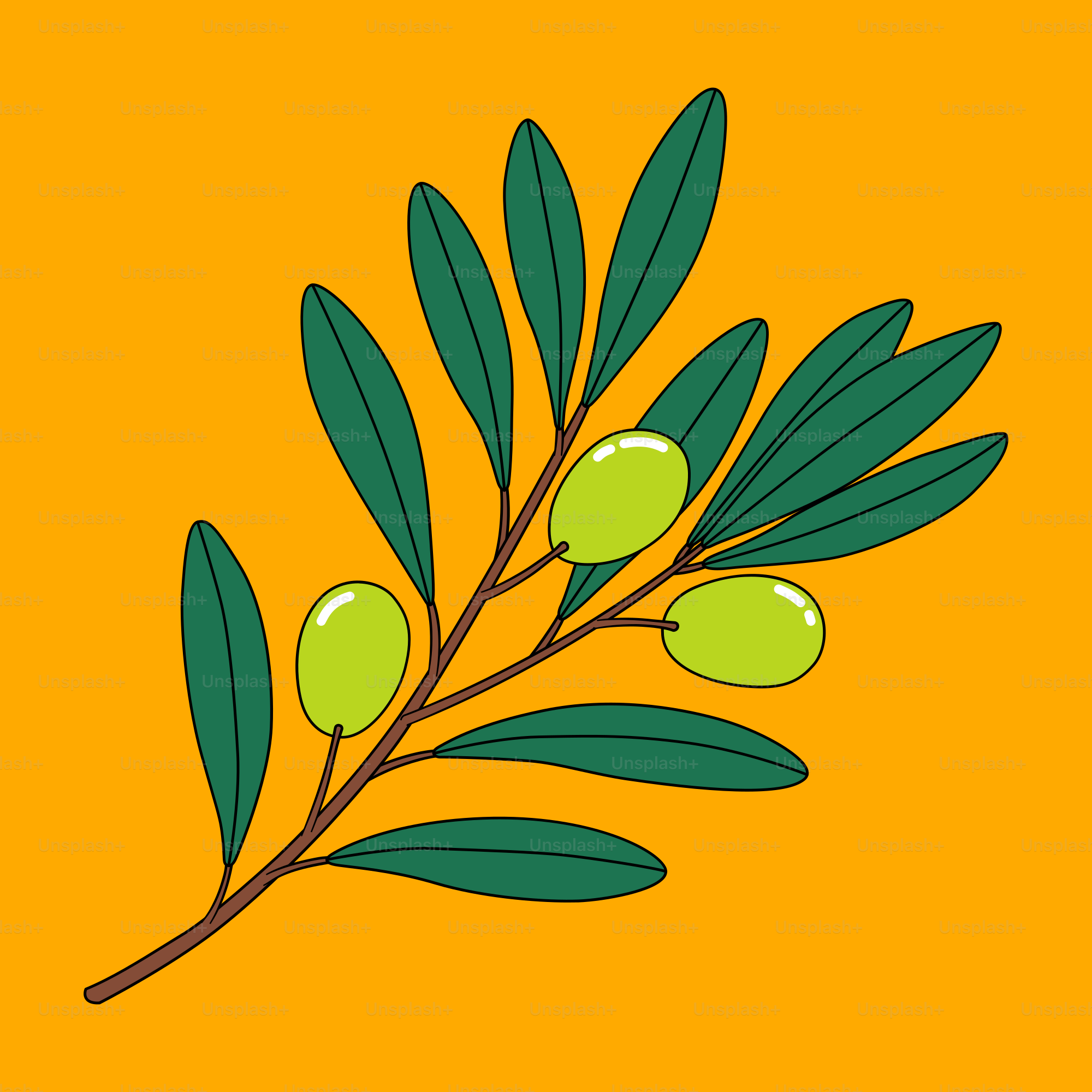 An olive branch with green olives on a yellow background