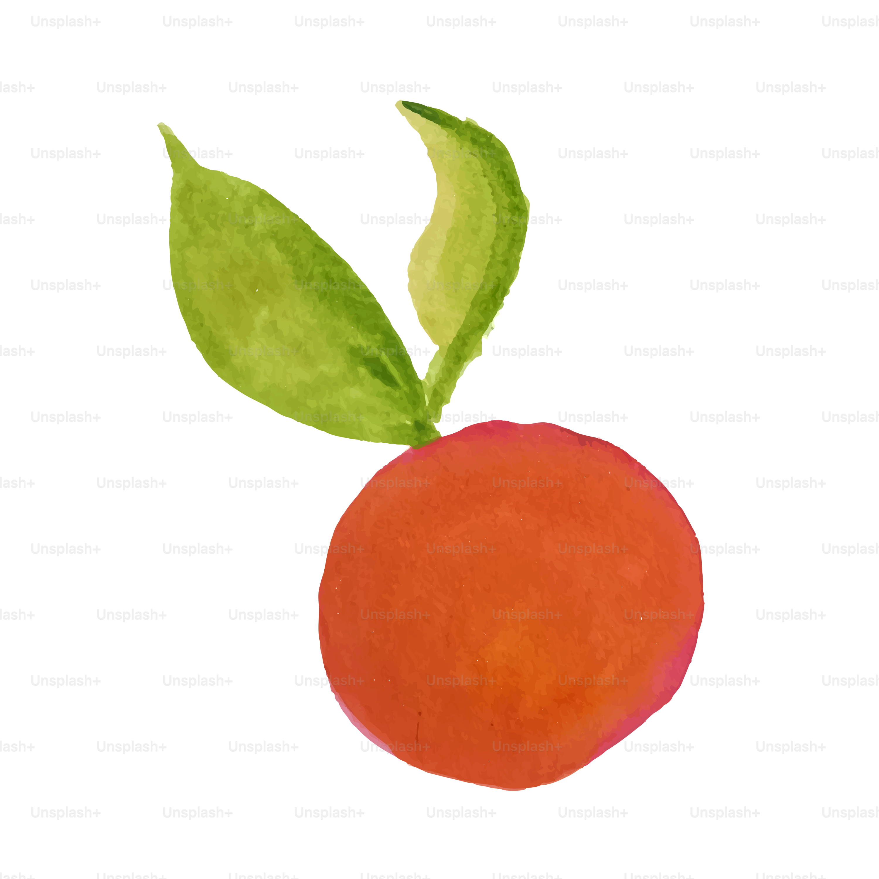 An orange with a green leaf on top of it