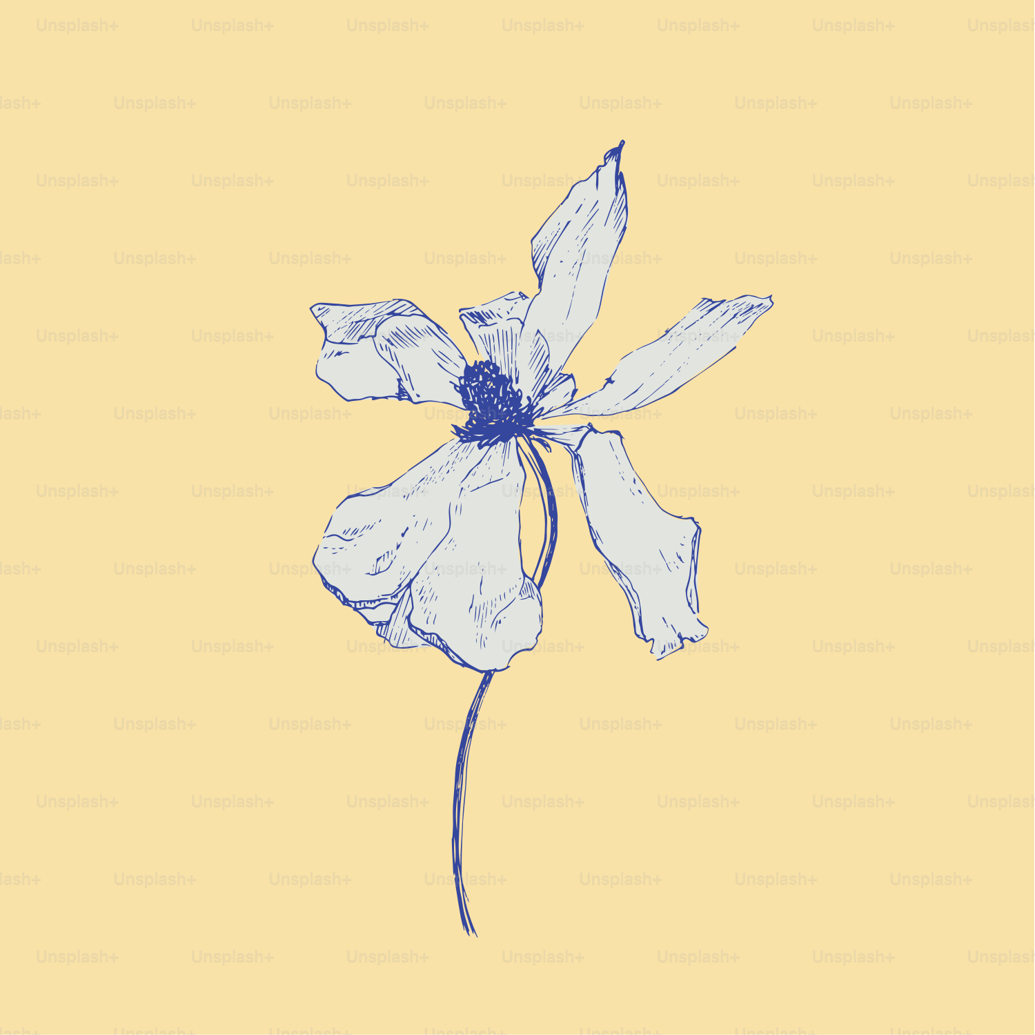 A blue and white flower on a yellow background
