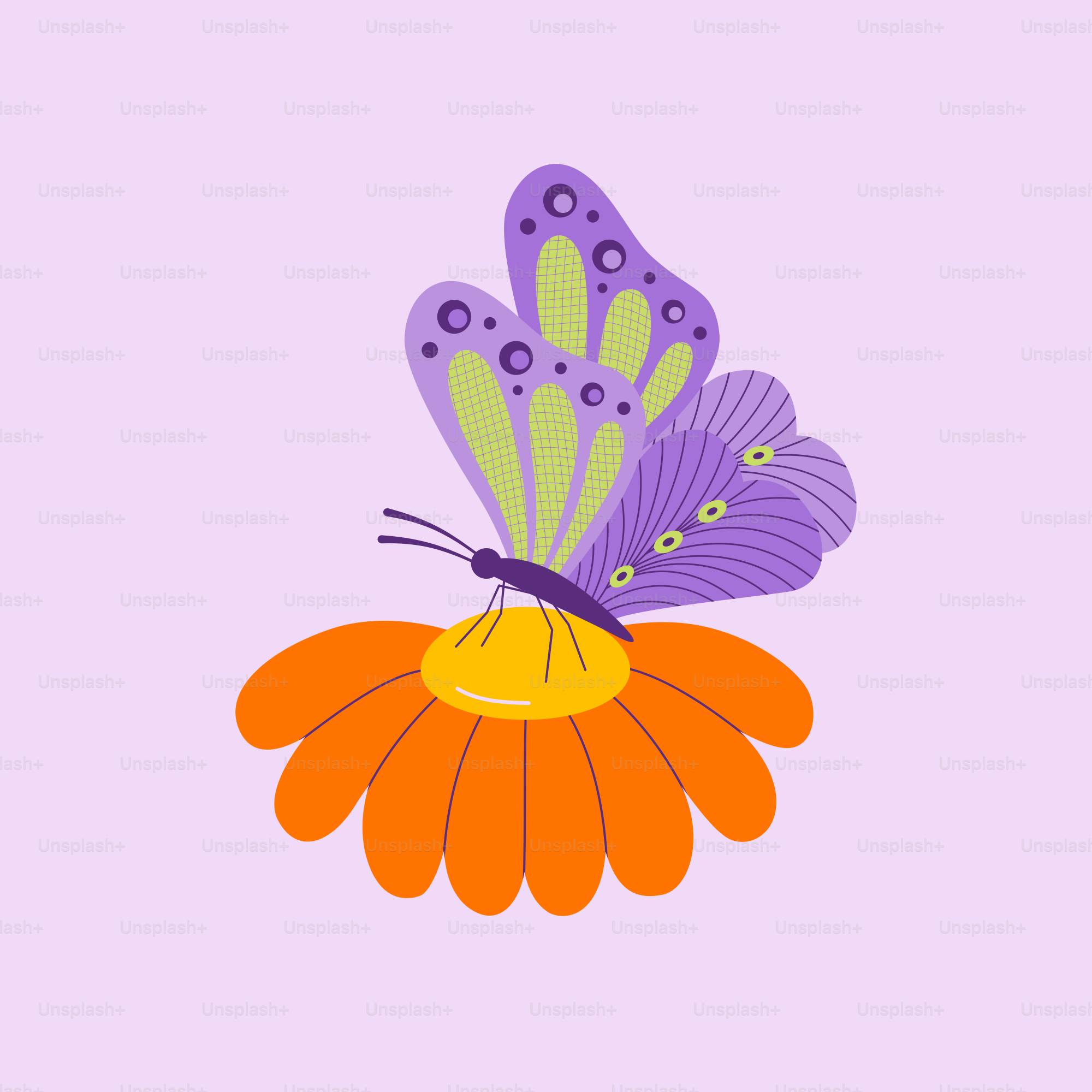 A purple butterfly sitting on top of an orange flower