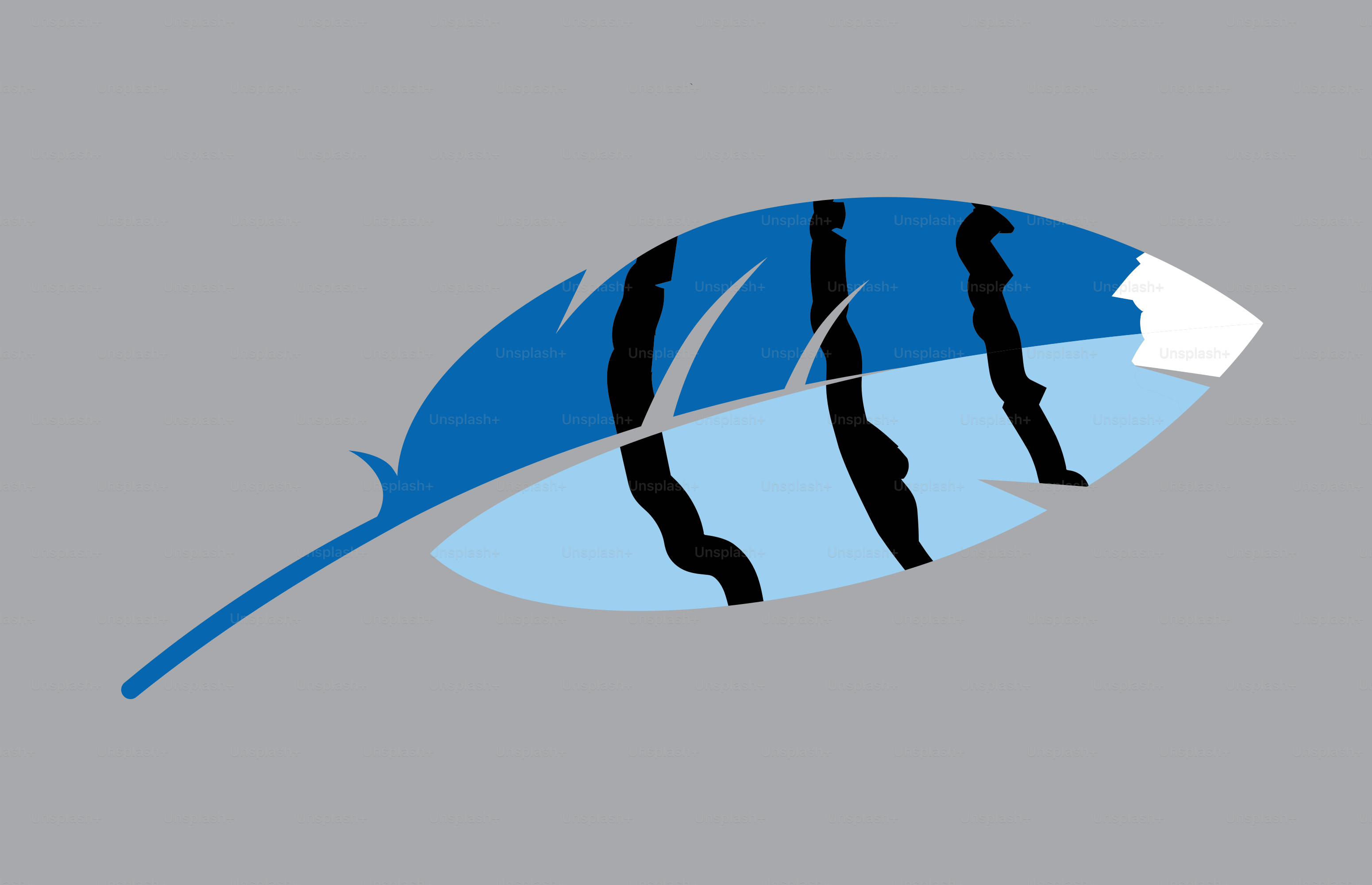 A blue and black feather on a gray background