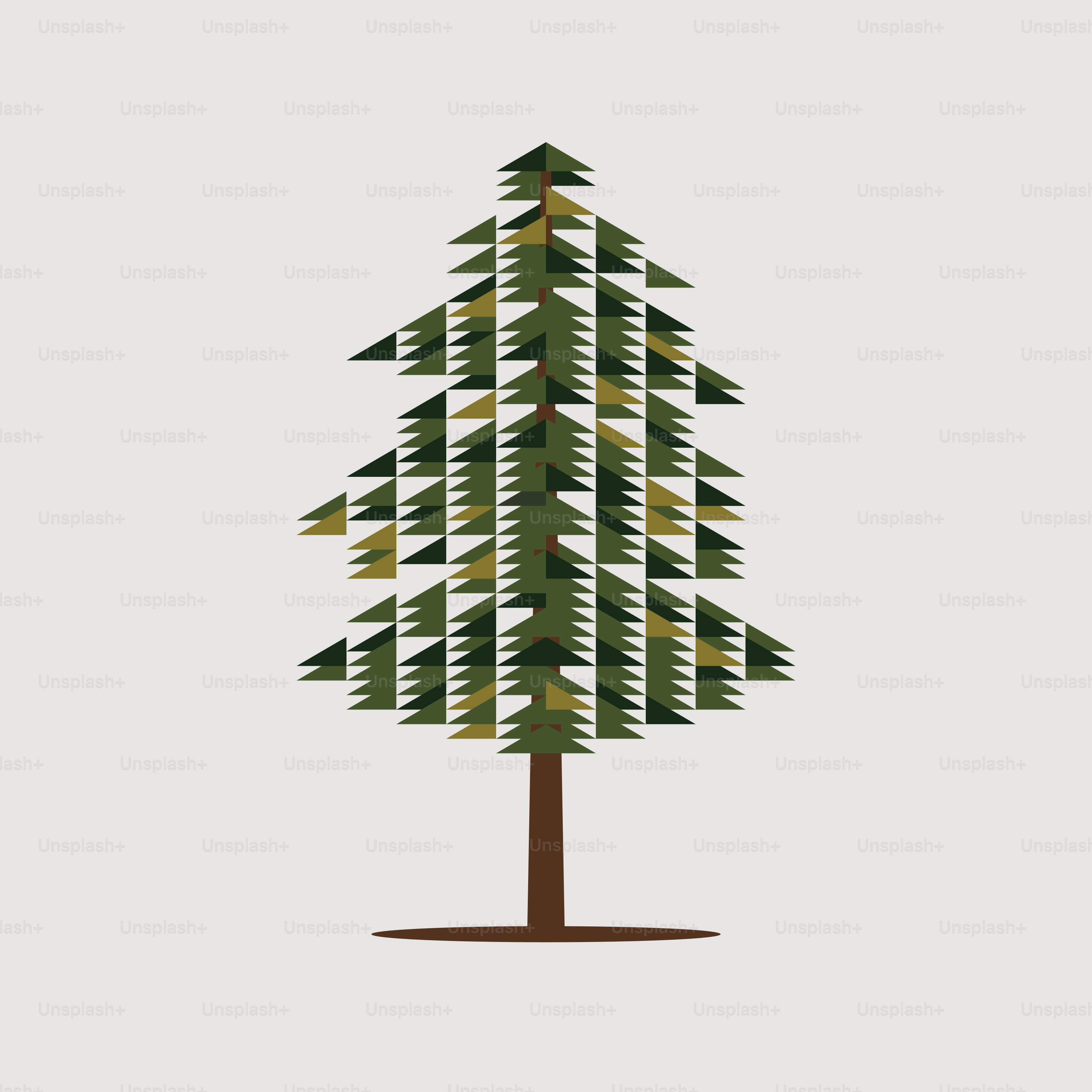 A pine tree is shown on a white background