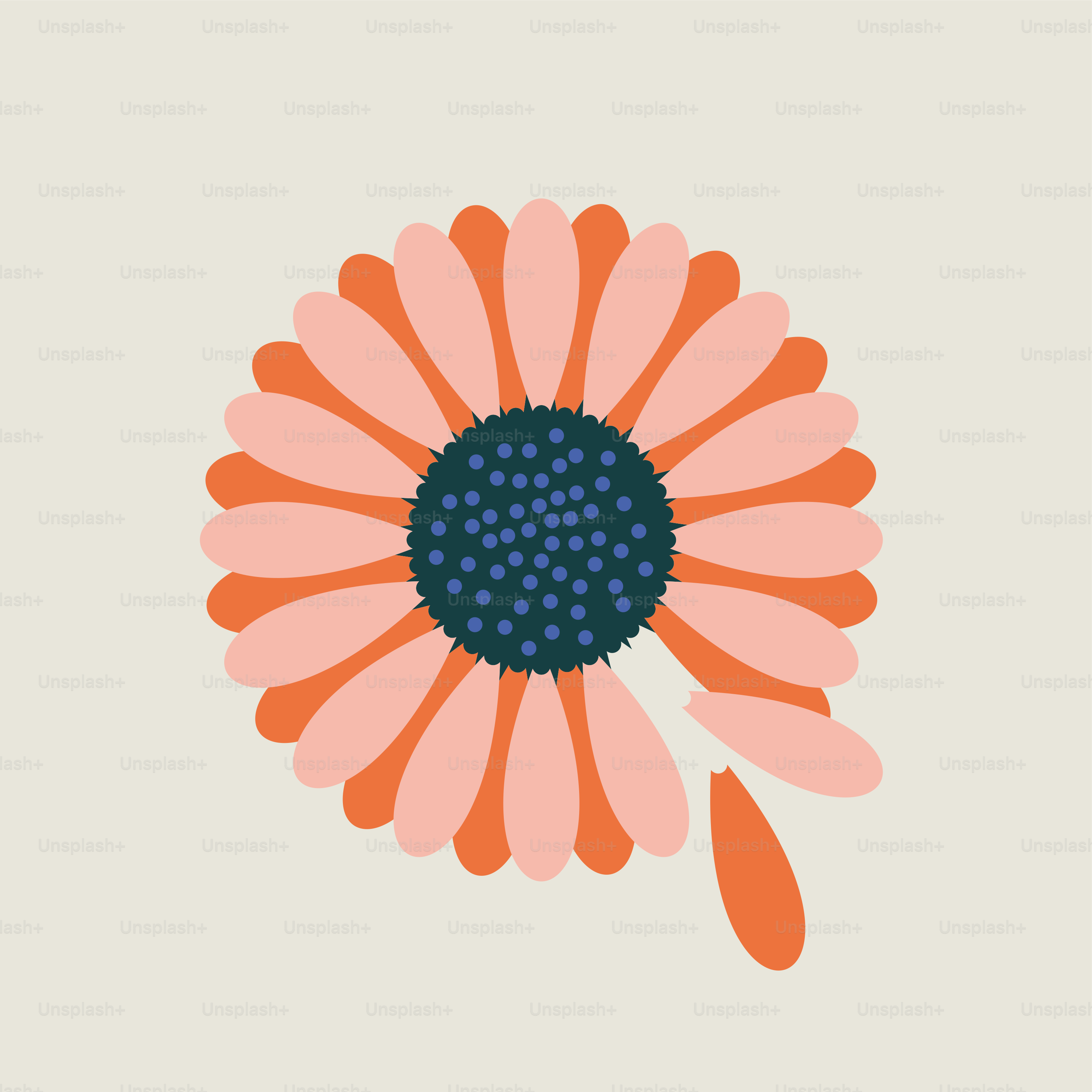 白い背景にオレンジと青の花が描かれている