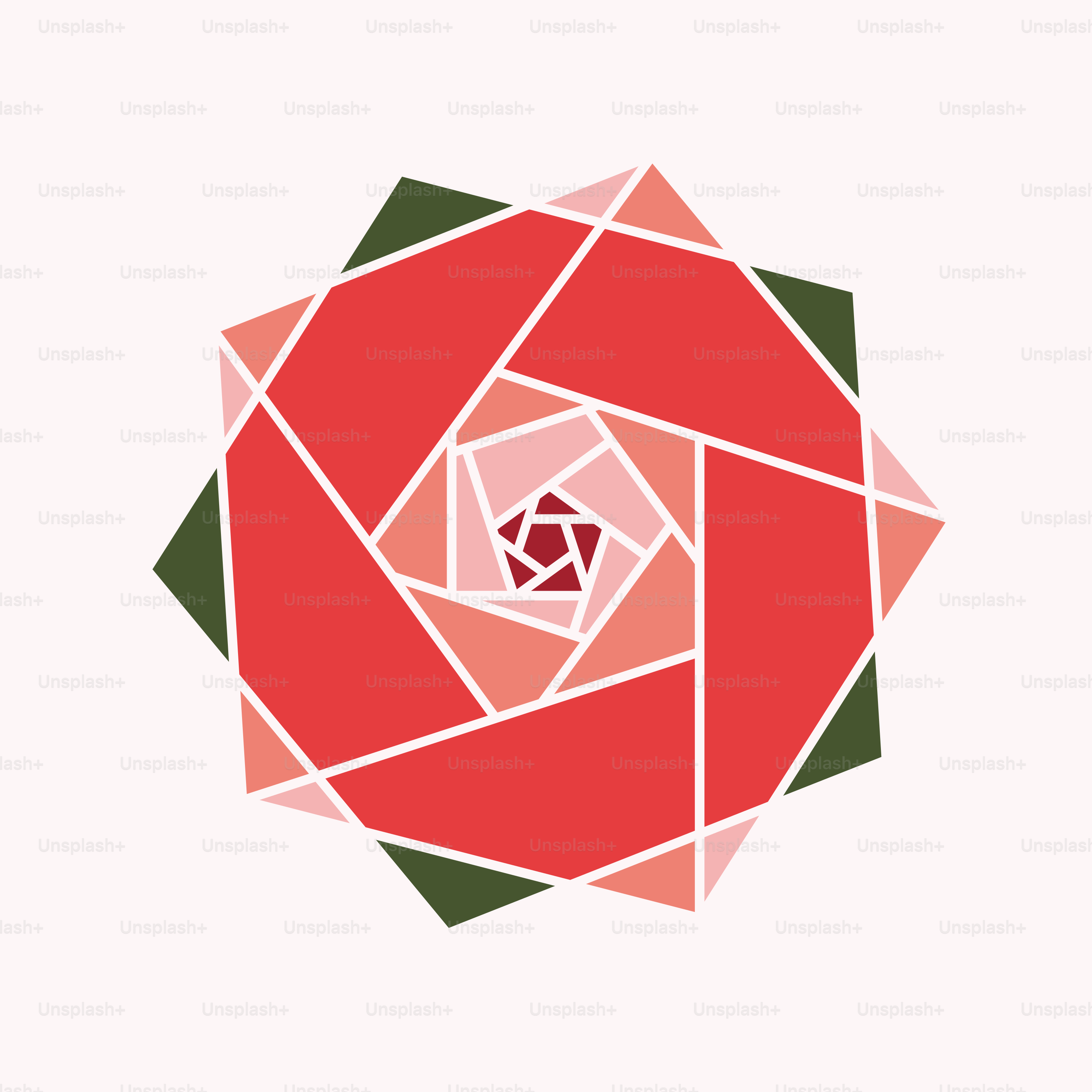 A red rose with green leaves on a white background