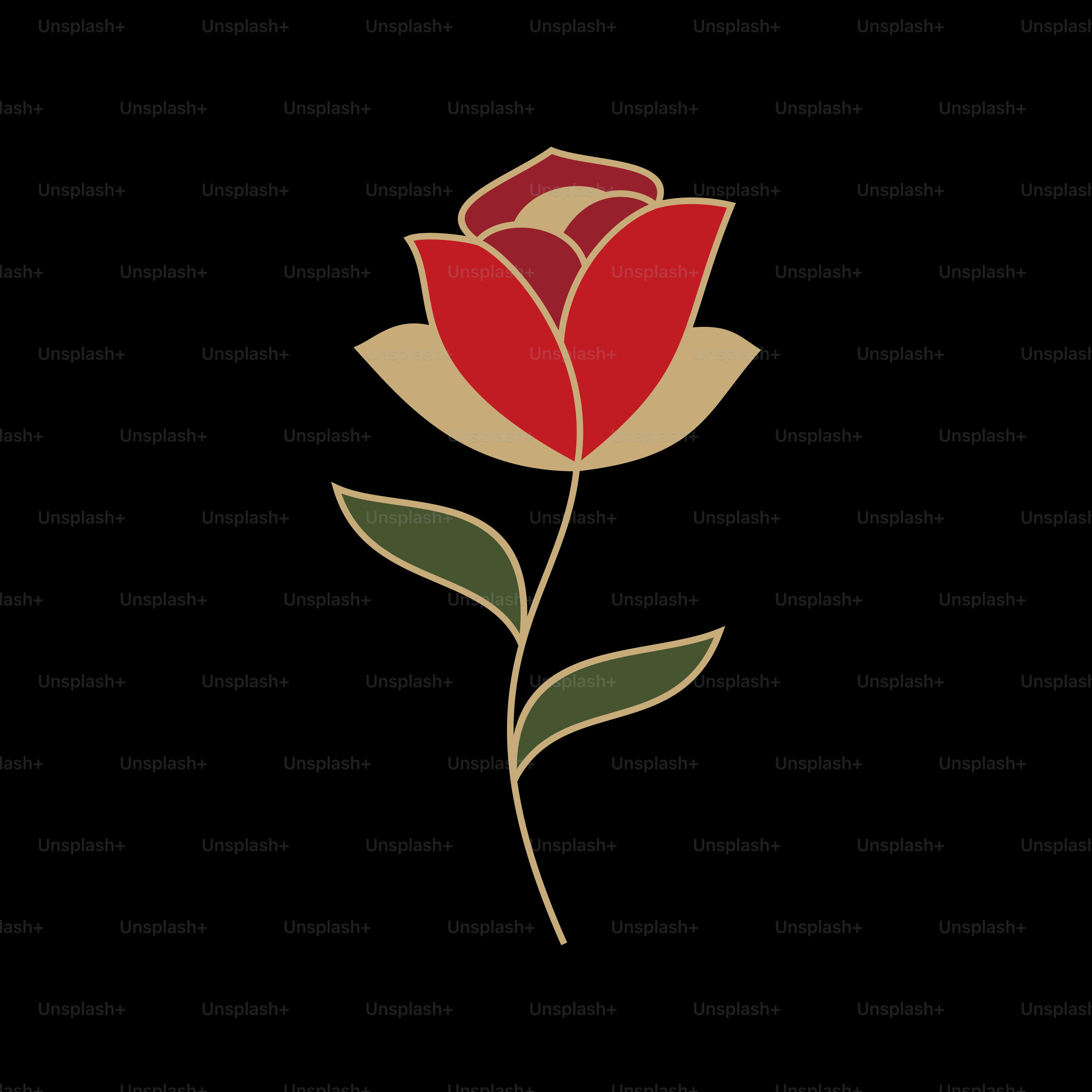 Uma rosa vermelha com folhas verdes sobre fundo preto