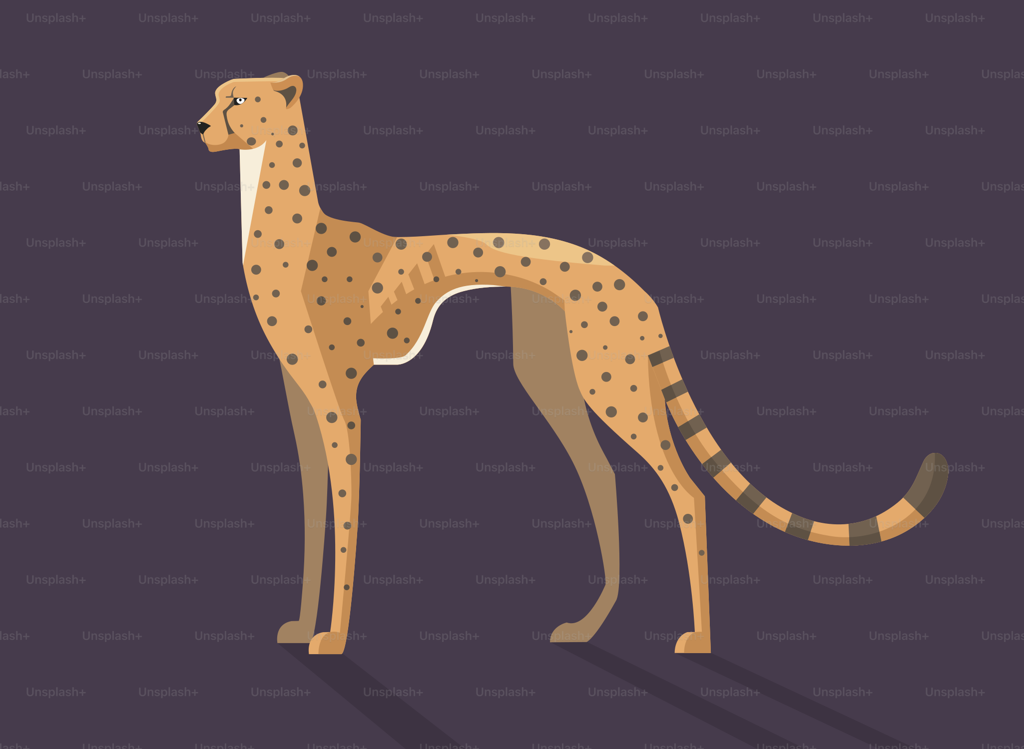 Un guepardo de pie en medio de un fondo púrpura