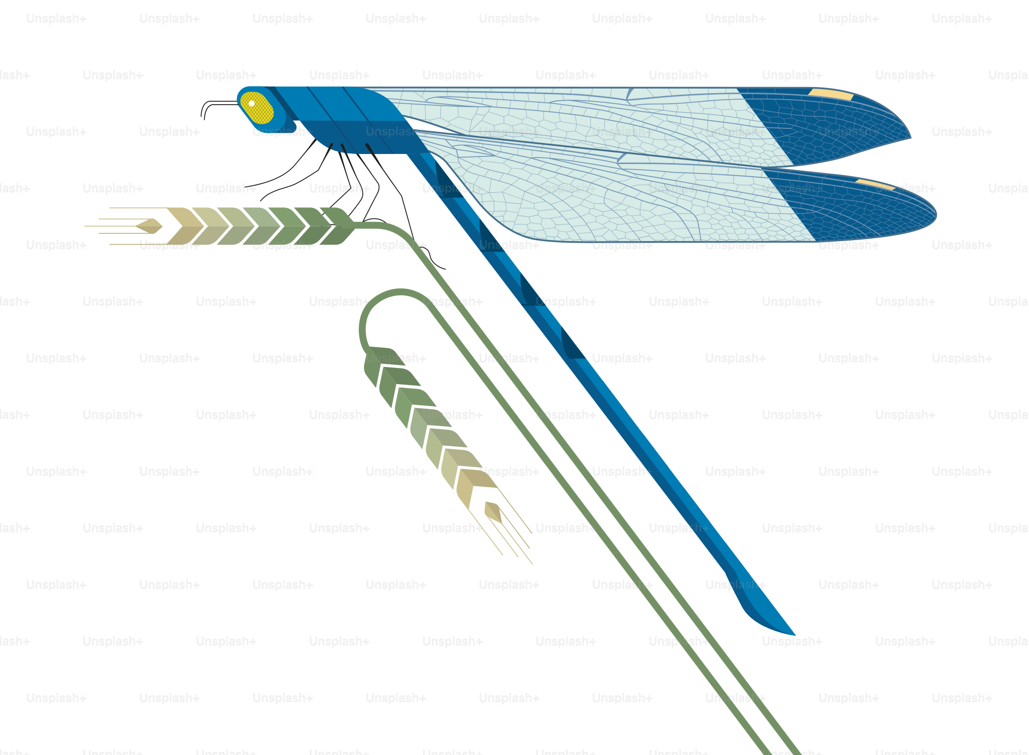 Un avión azul y blanco con dos flechas