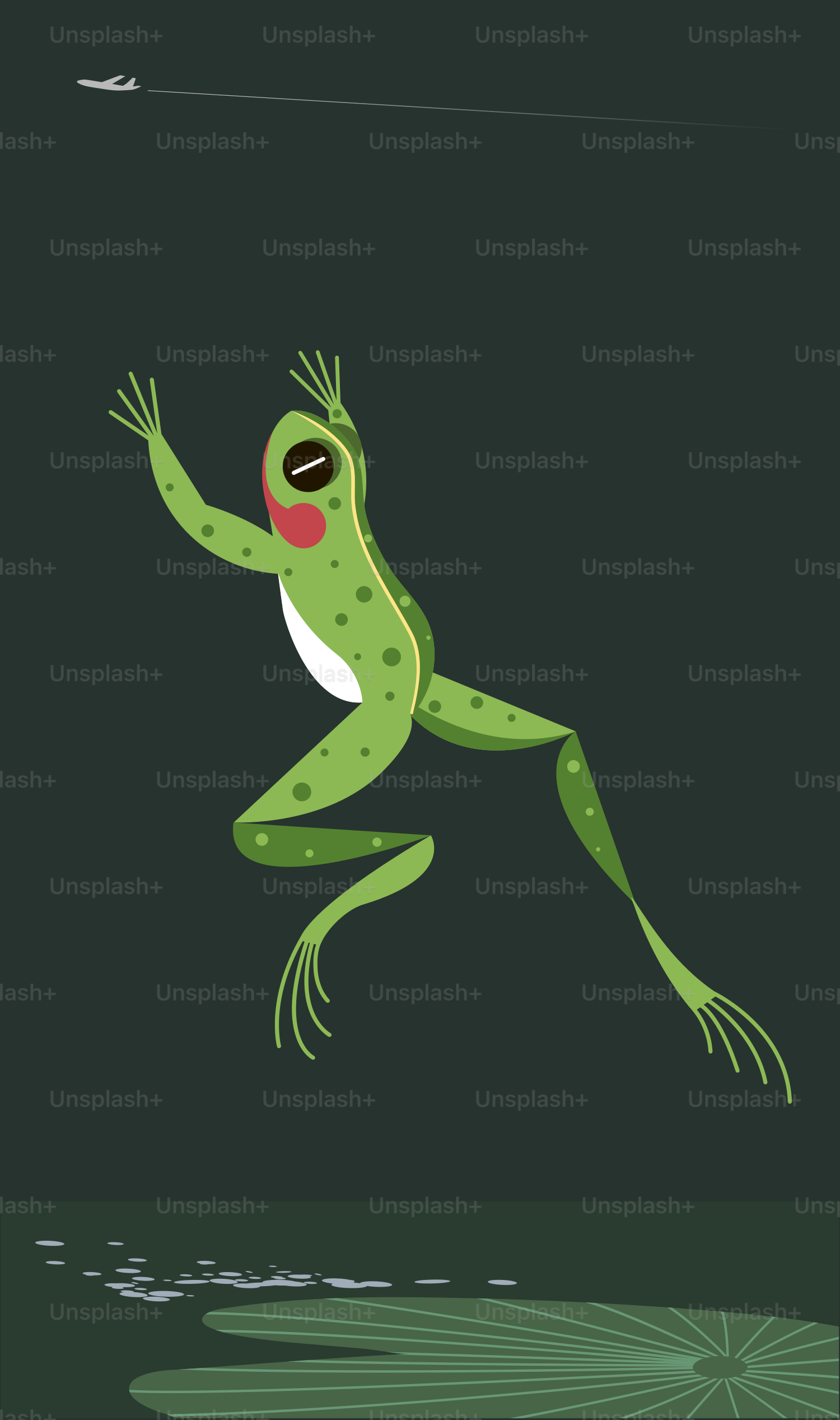 Una rana que flota en el agua